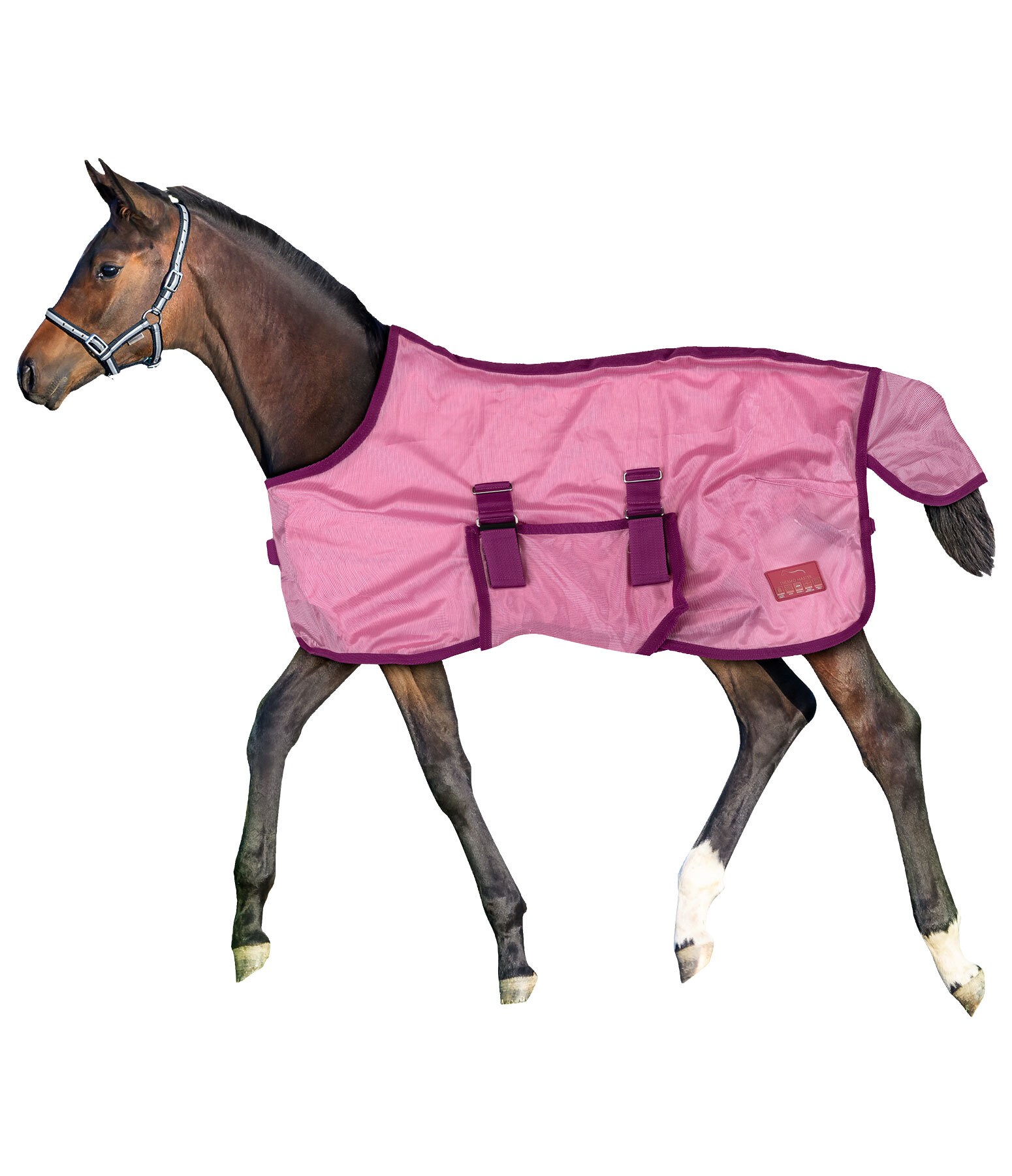 Couverture anti-mouches poulain et mini shetland  Kubi Fly