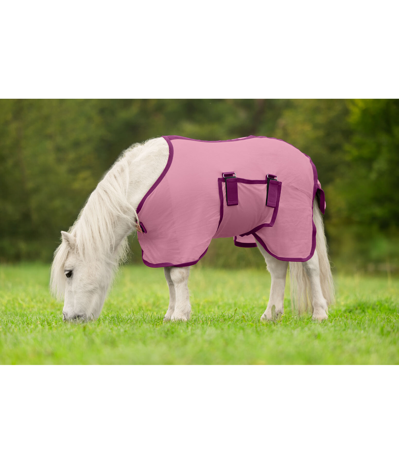 Couverture anti-mouches poulain et mini shetland  Kubi Fly