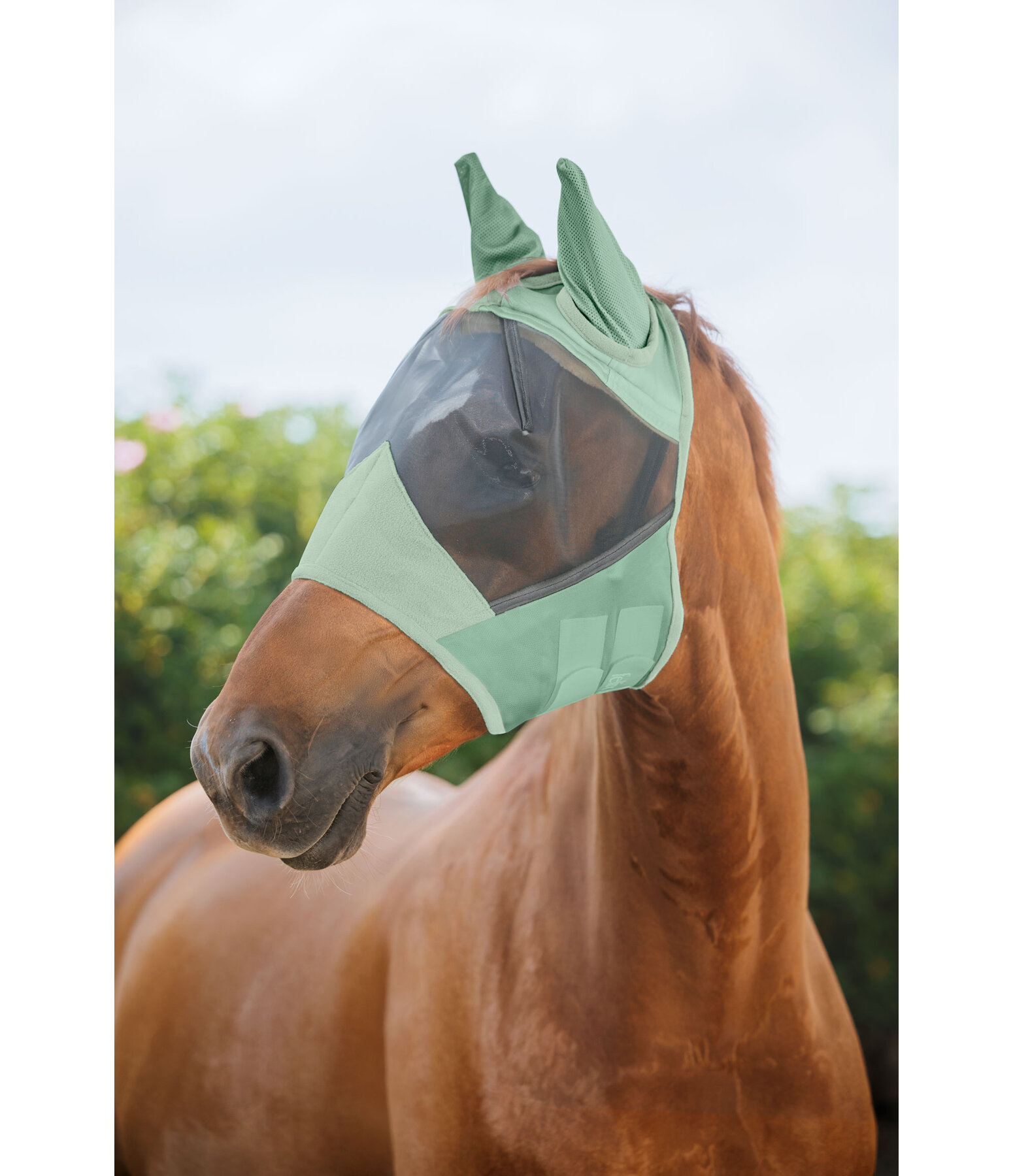 Masque Anti-Mouches Pour Cheval - Léger, Respirant, Avec Filet Fin Et Oreilles Protégées - Taille XS (Vert Clair)