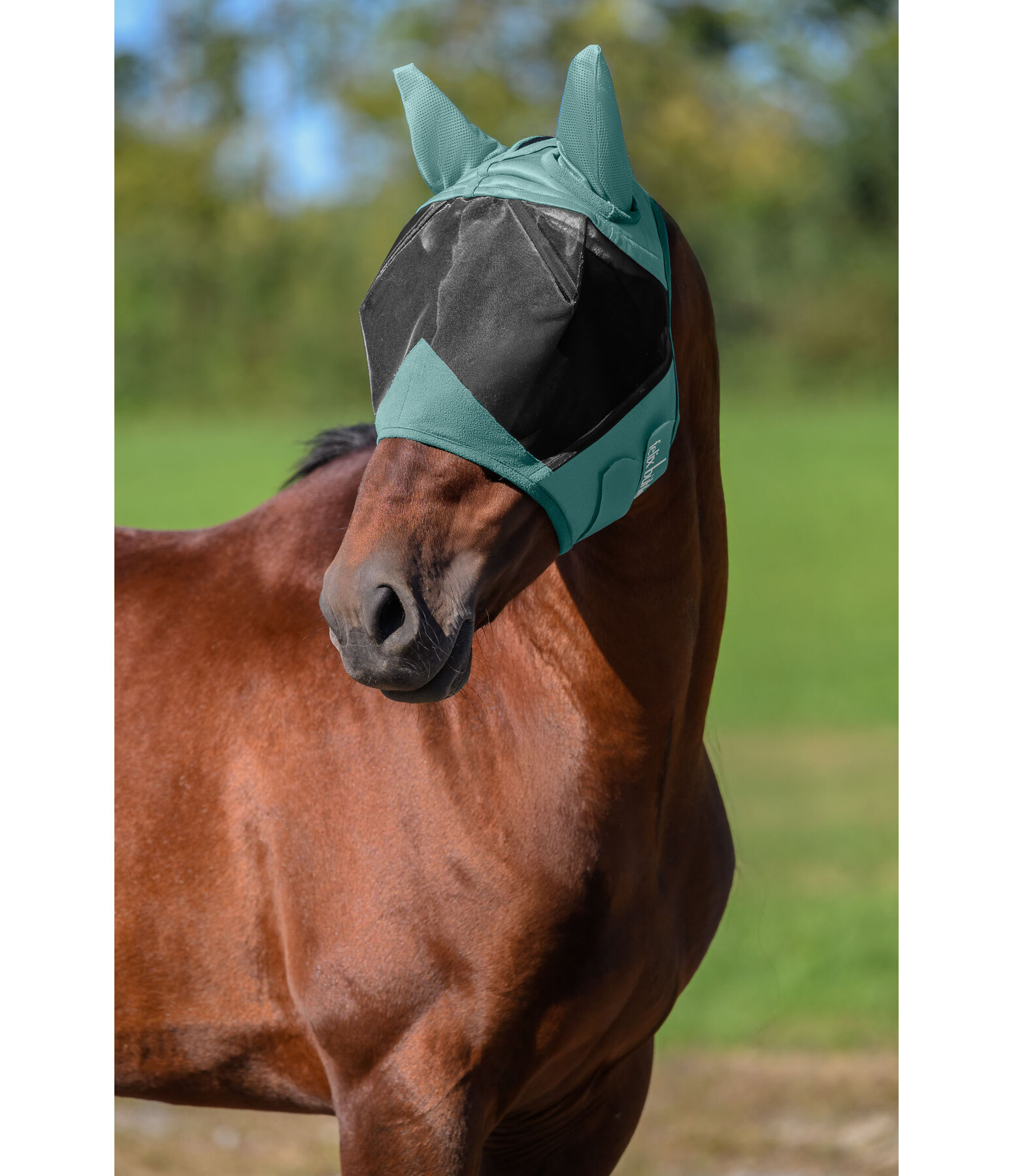 Masque anti-mouches  Basic