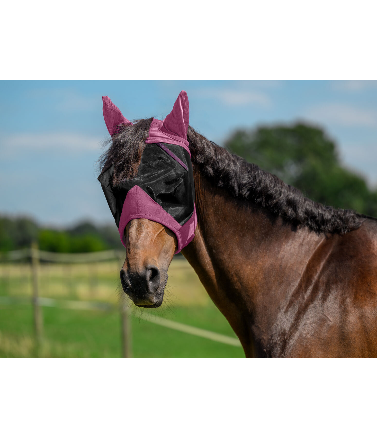 Masque anti-mouches  Basic