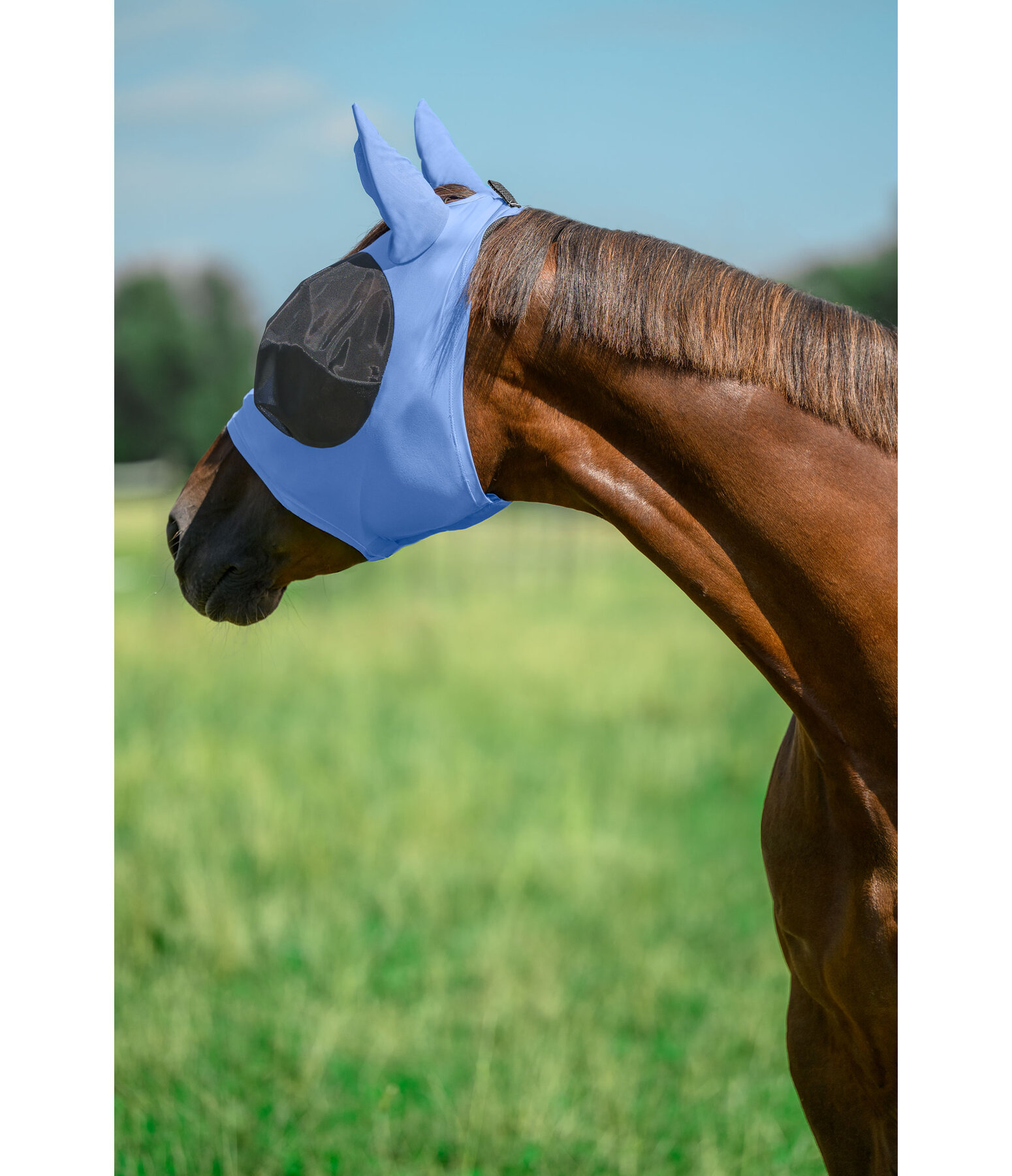 Masque anti-mouches extensible avec fermeture � glissi�re