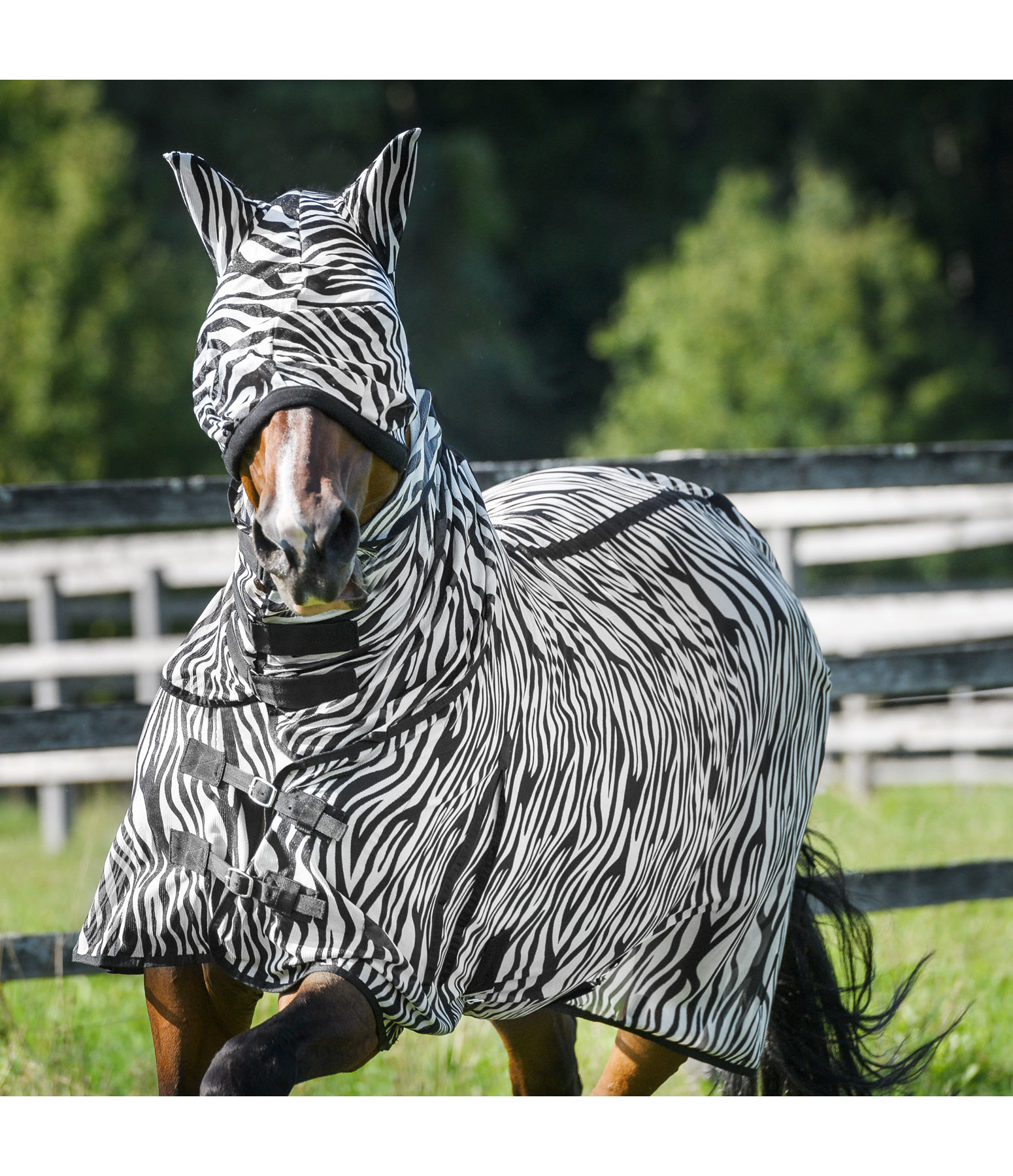 Masque anti-mouches  Zebra