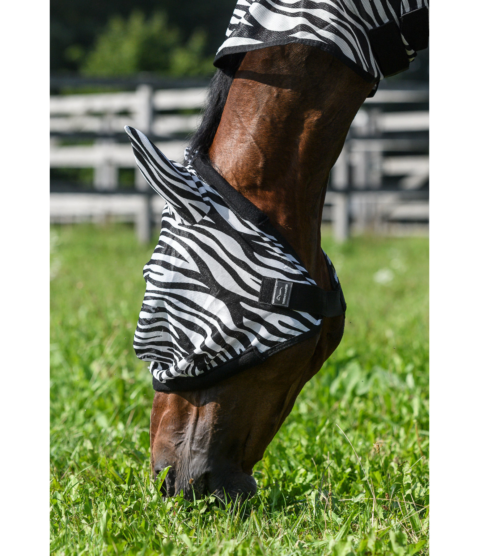 Masque anti-mouches  Zebra
