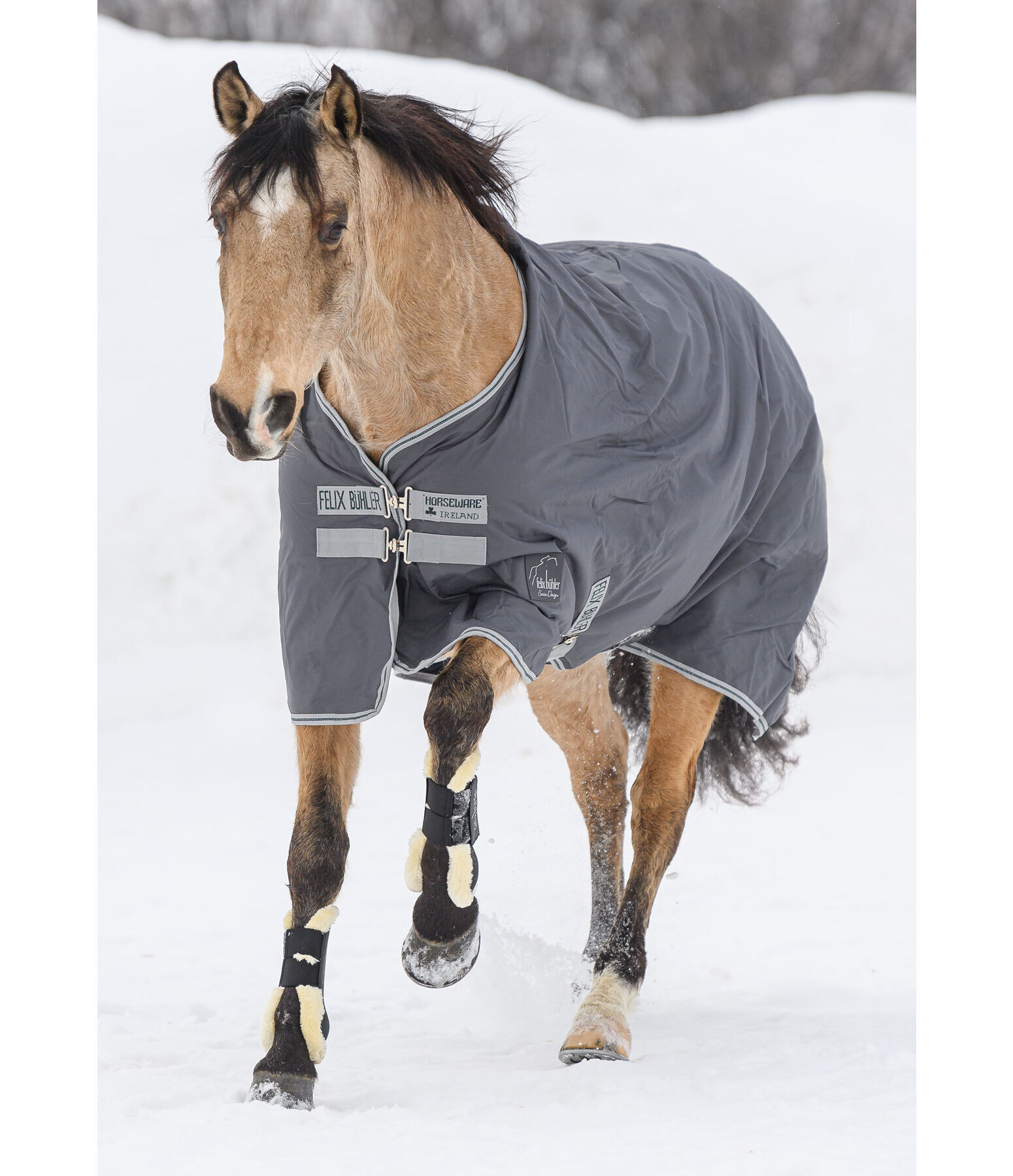 couverture d'extérieure highneck doublée polaire(135) - Equitaffaires -  Equipement pour le cheval et le cavalier - Equitaffaires 