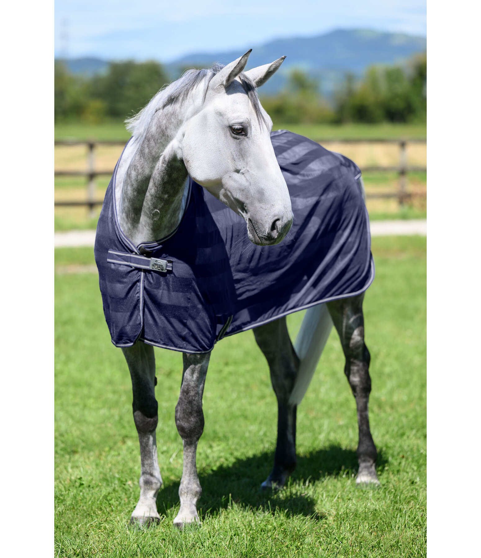 Chemise anti-mouches  Economy Light