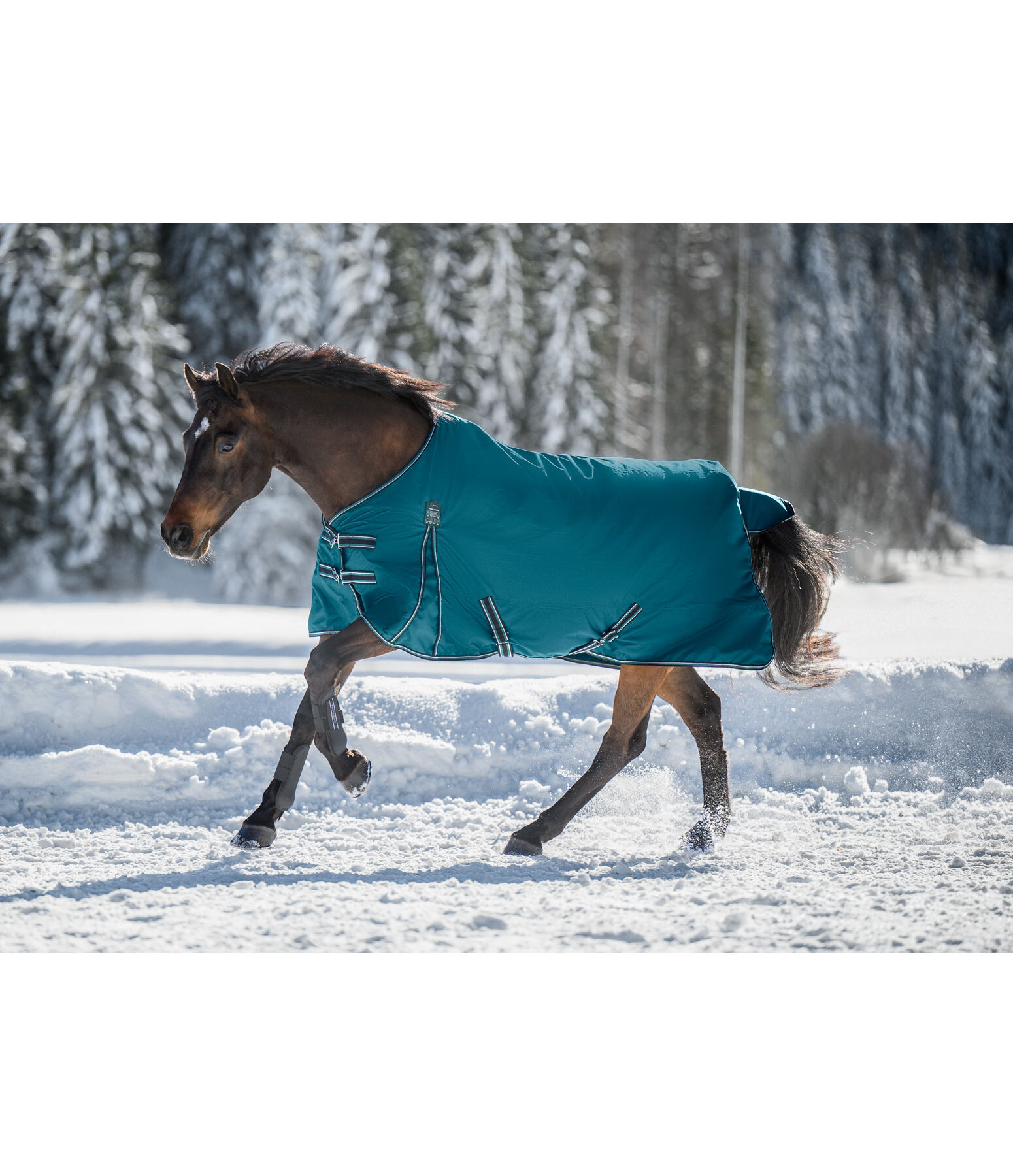 Couverture d'extrieur  Kadir IV, 100 g