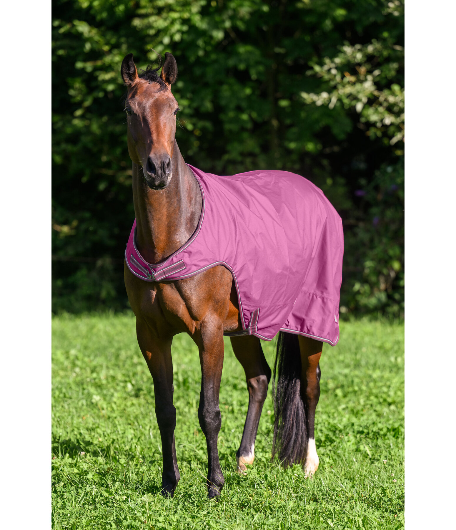 Chemise de marcheur imperm�able  Kasimo II, 0 g