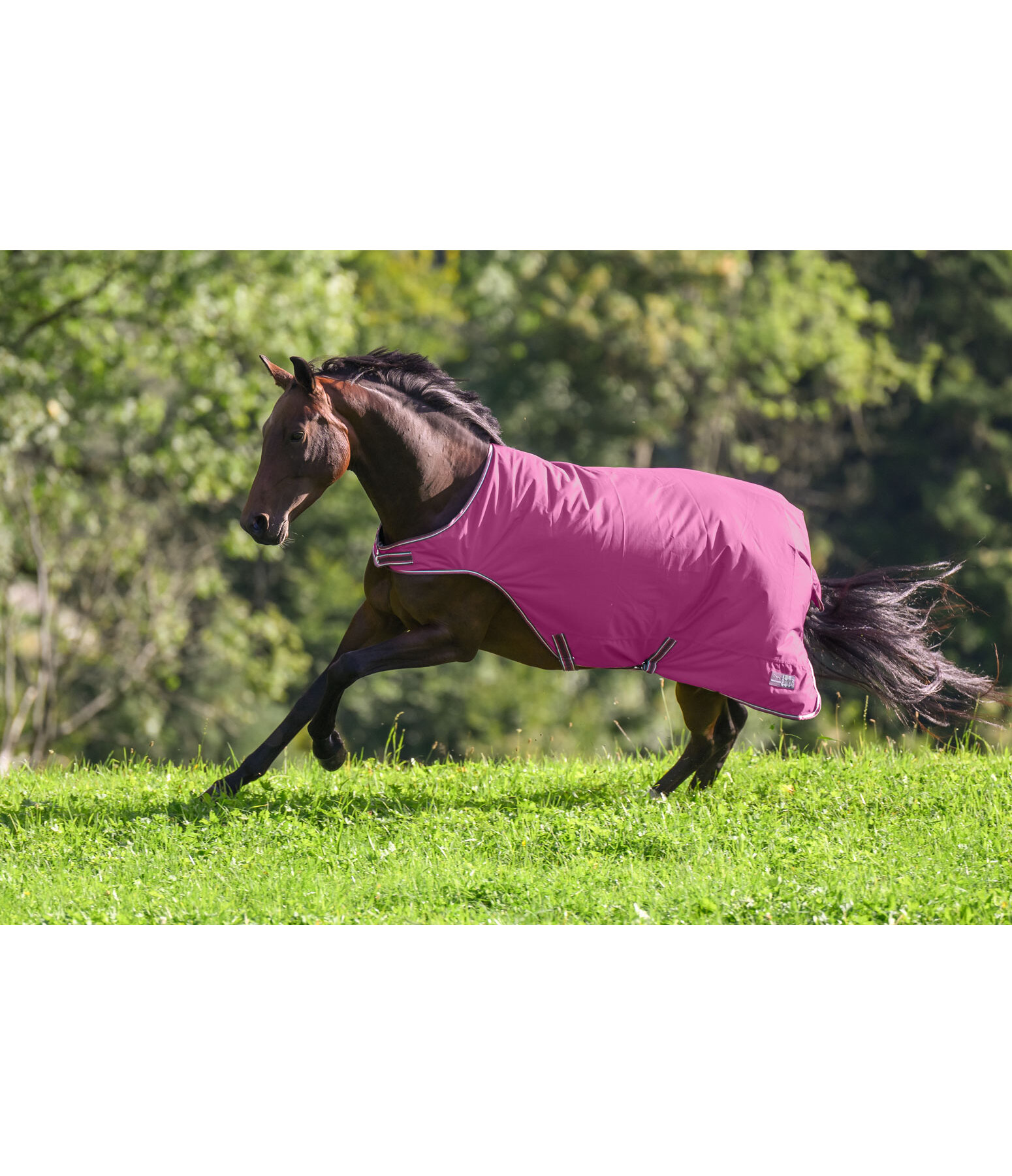 Chemise de marcheur imperm�able  Kasimo II, 0 g