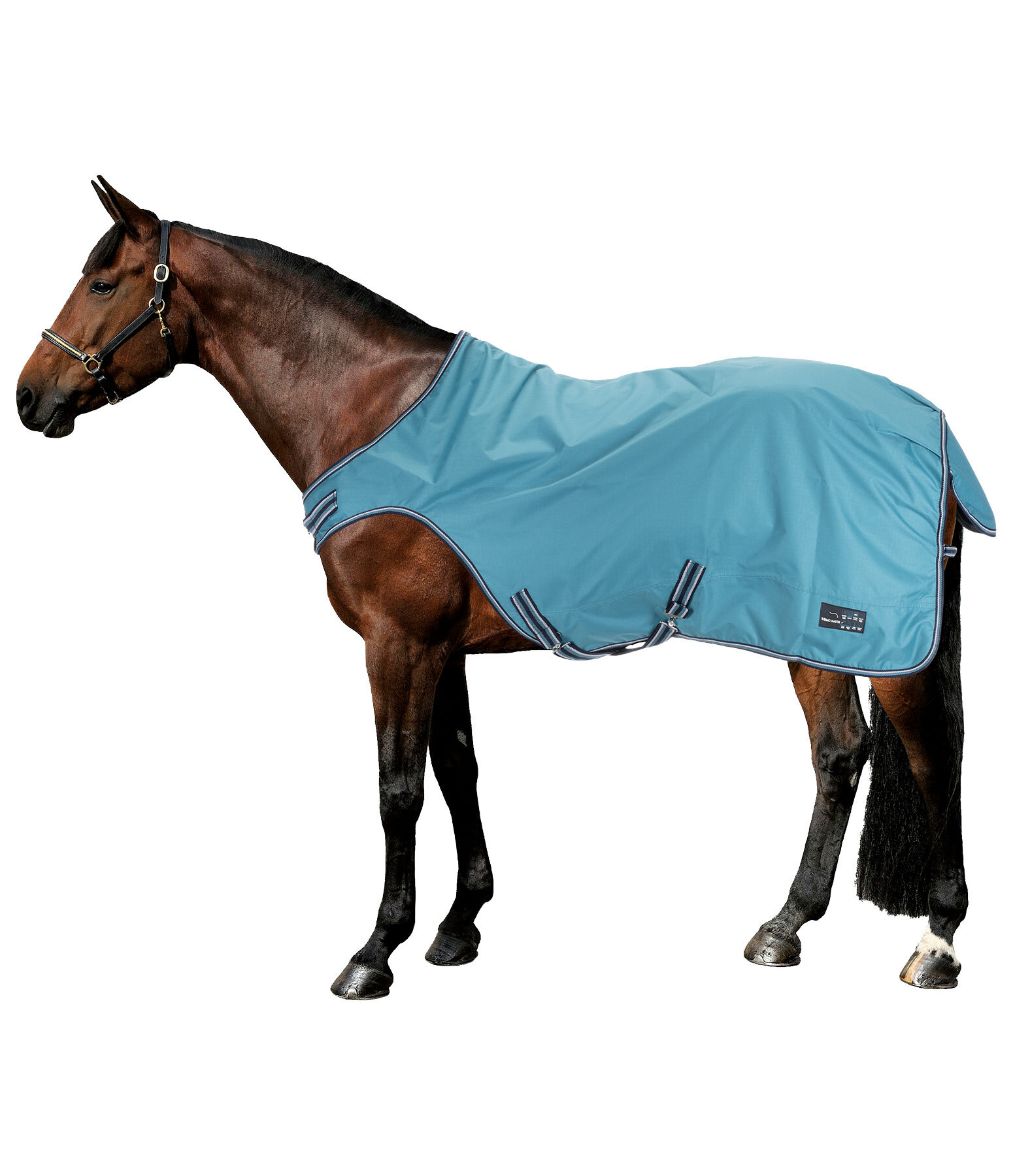 Chemise de marcheur imperm�able  Kasimo II, 0 g