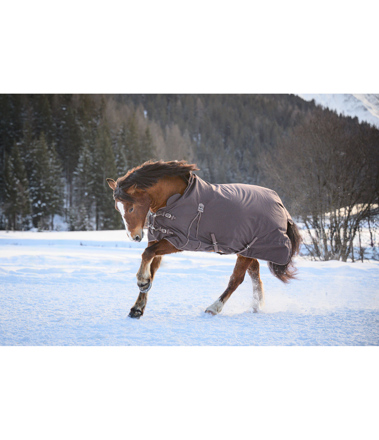 Chemise d'ext�rieur Highneck avec doublure polaire  Jesco II, 0 g