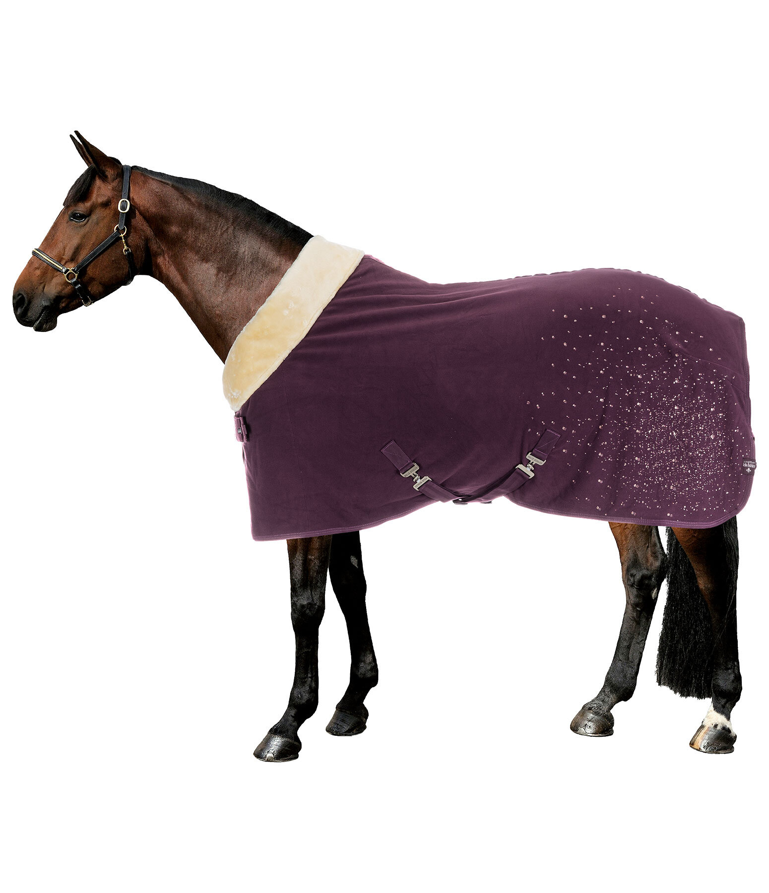 Chemise schante technique  Sparkling II