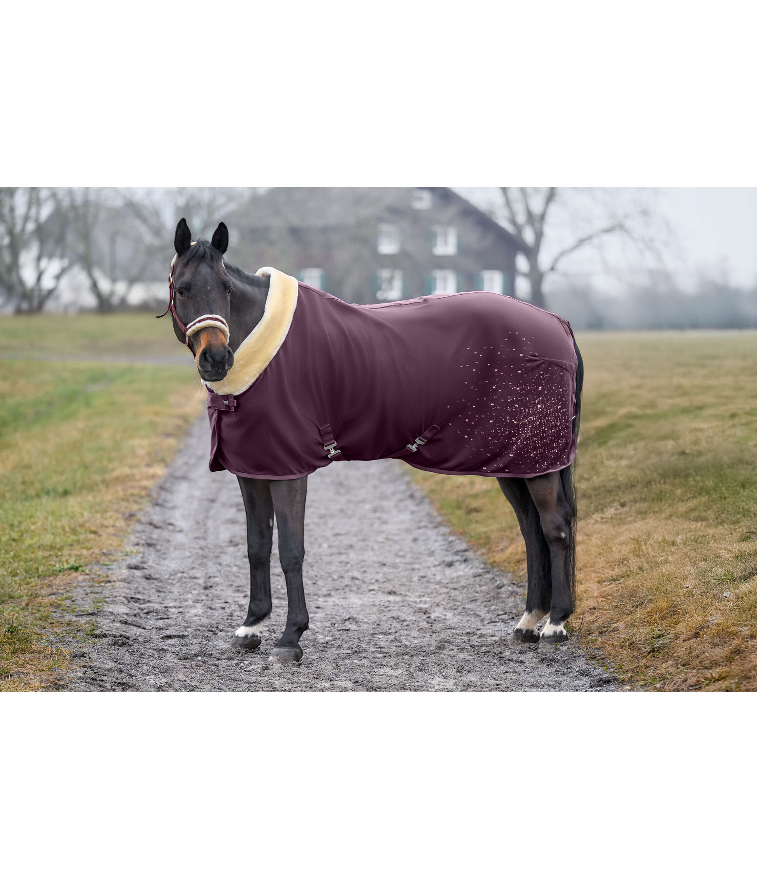 Chemise schante technique  Sparkling II