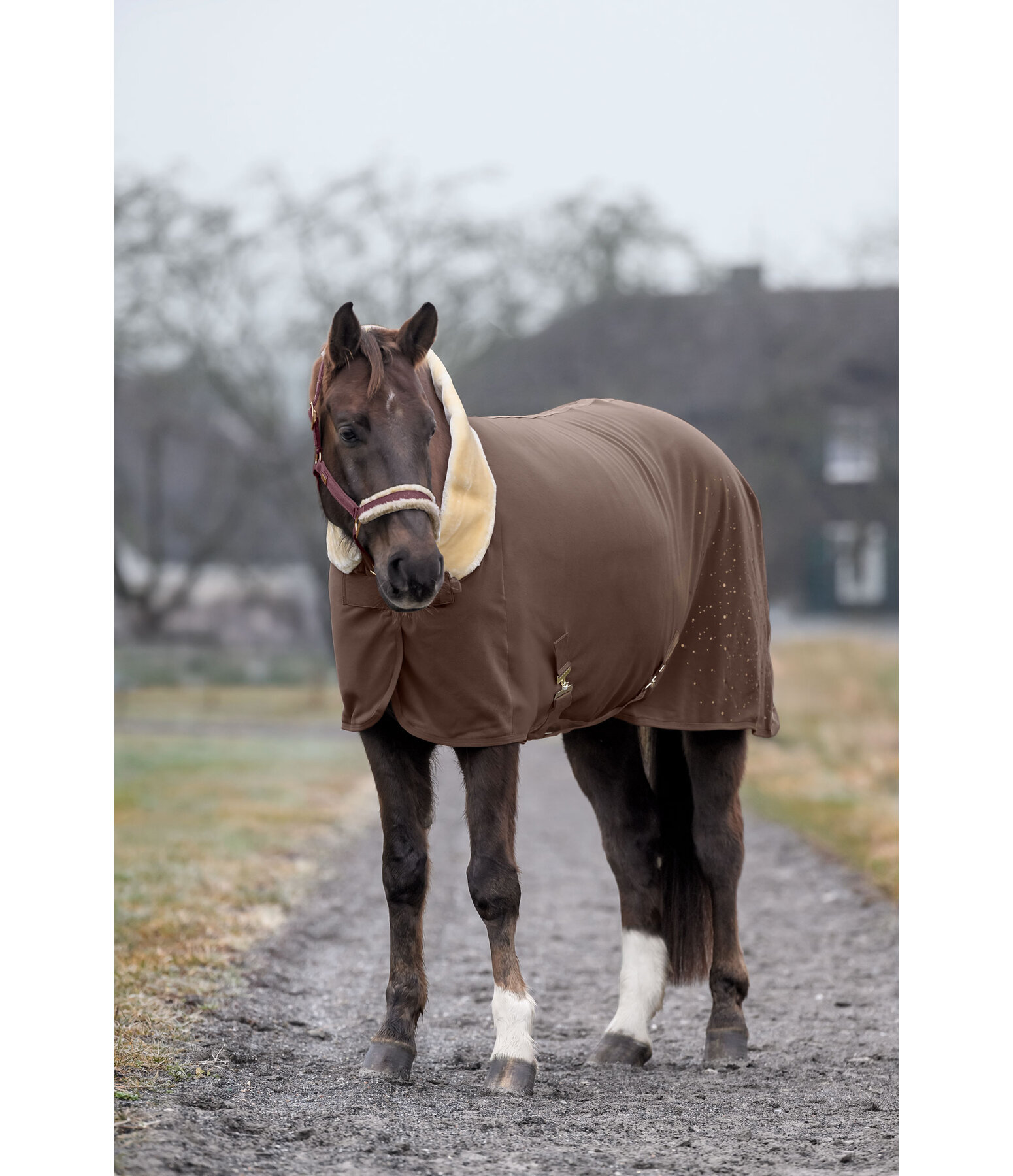 Chemise schante technique  Sparkling II