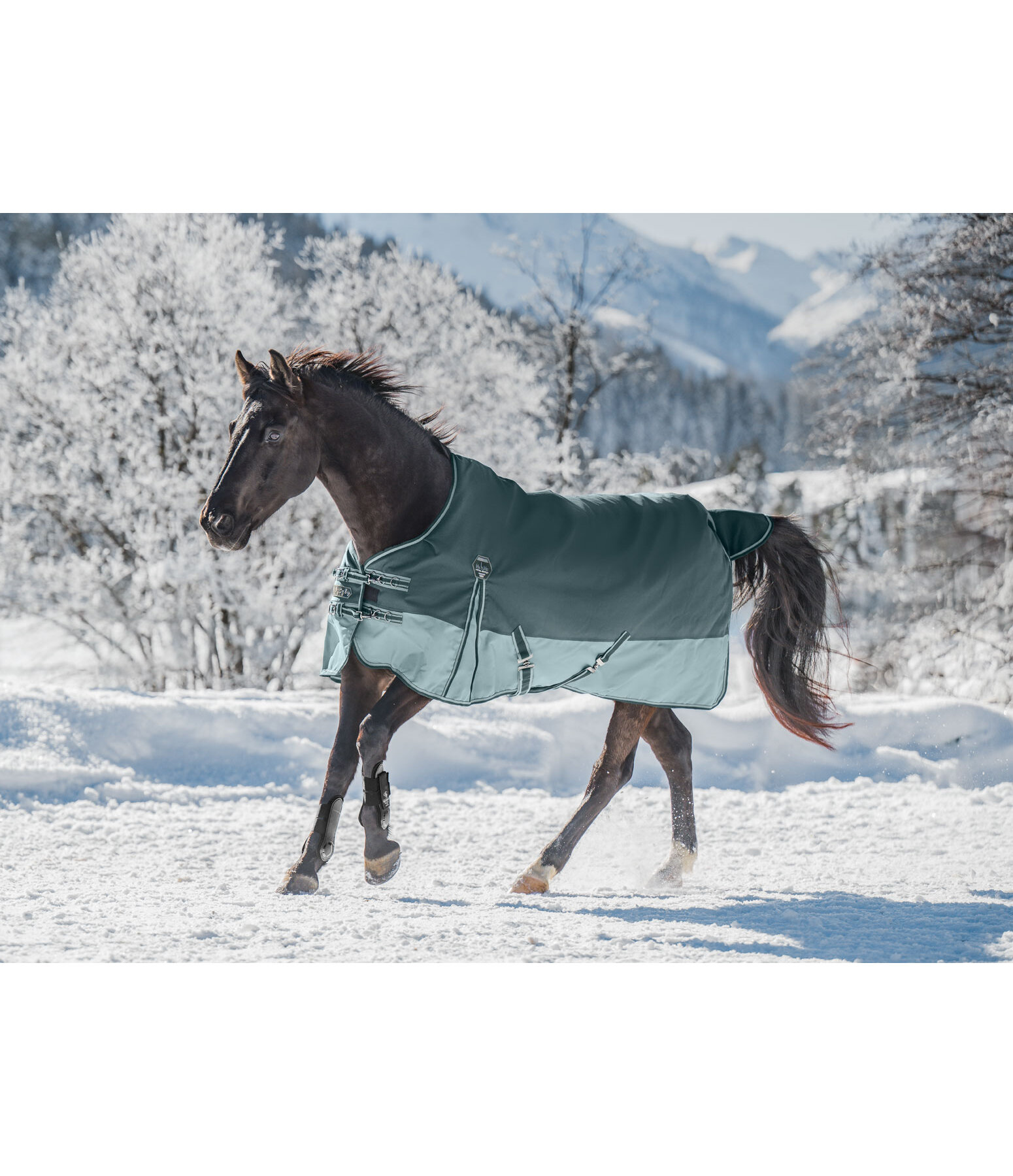 Couverture d'extrieur  Generously, 150 g