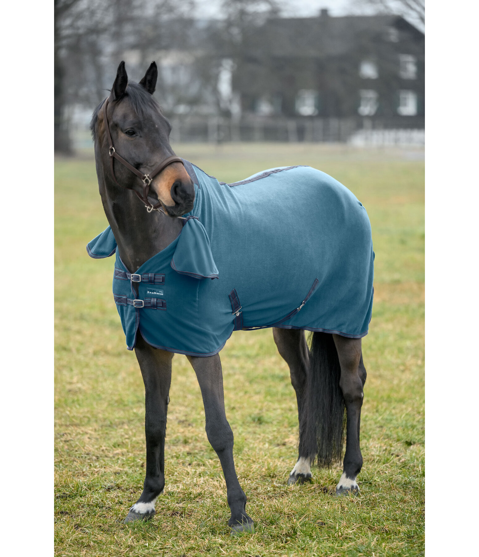 Chemise polaire avec couvre-cou enroulable  Activity