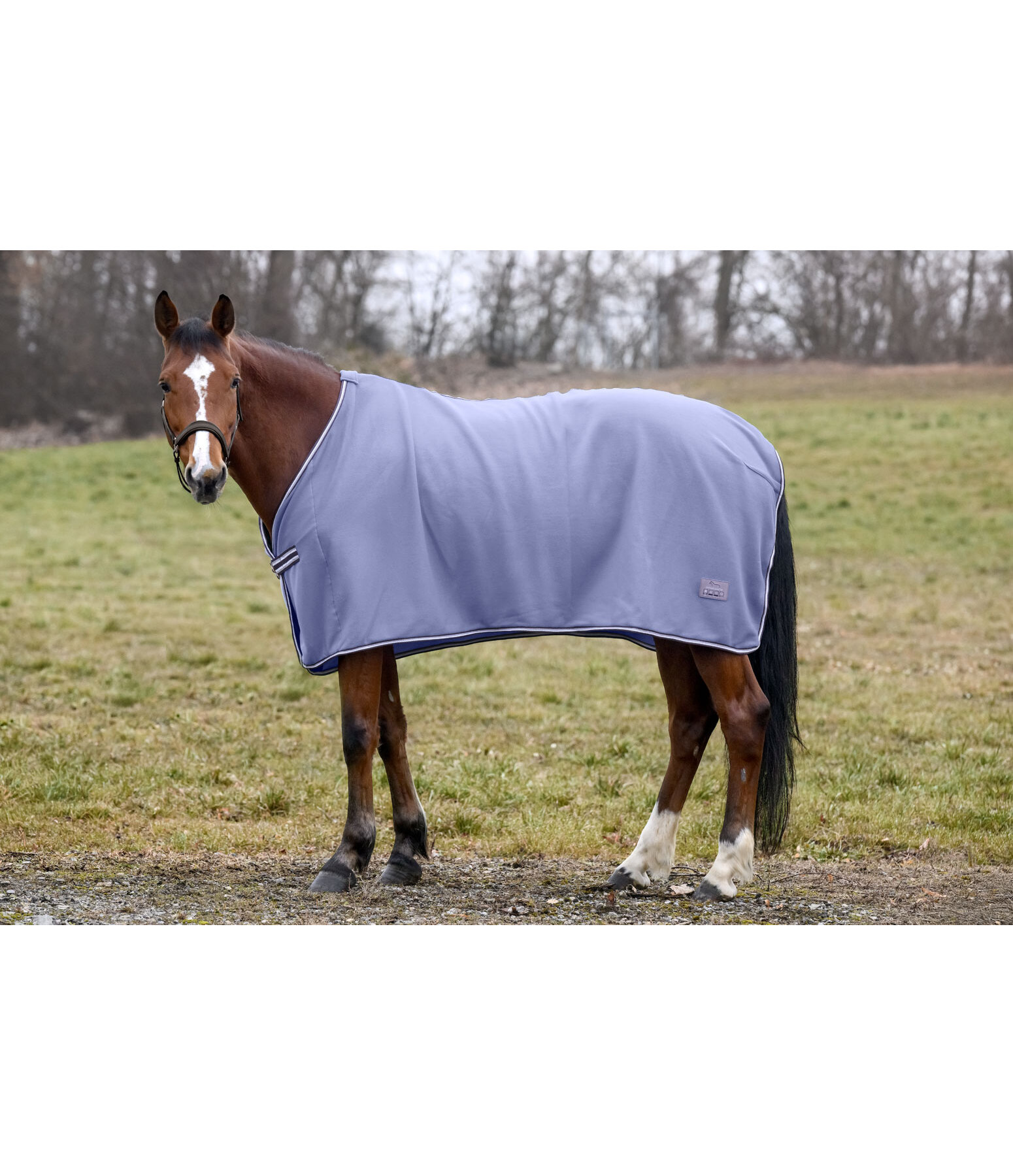 Couverture polaire  Economic