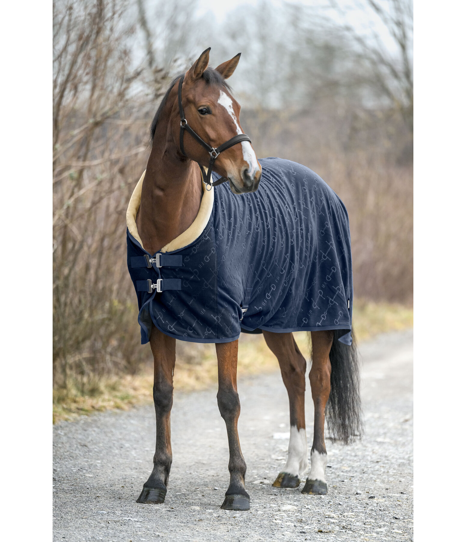 Couverture s�chante  Signature II