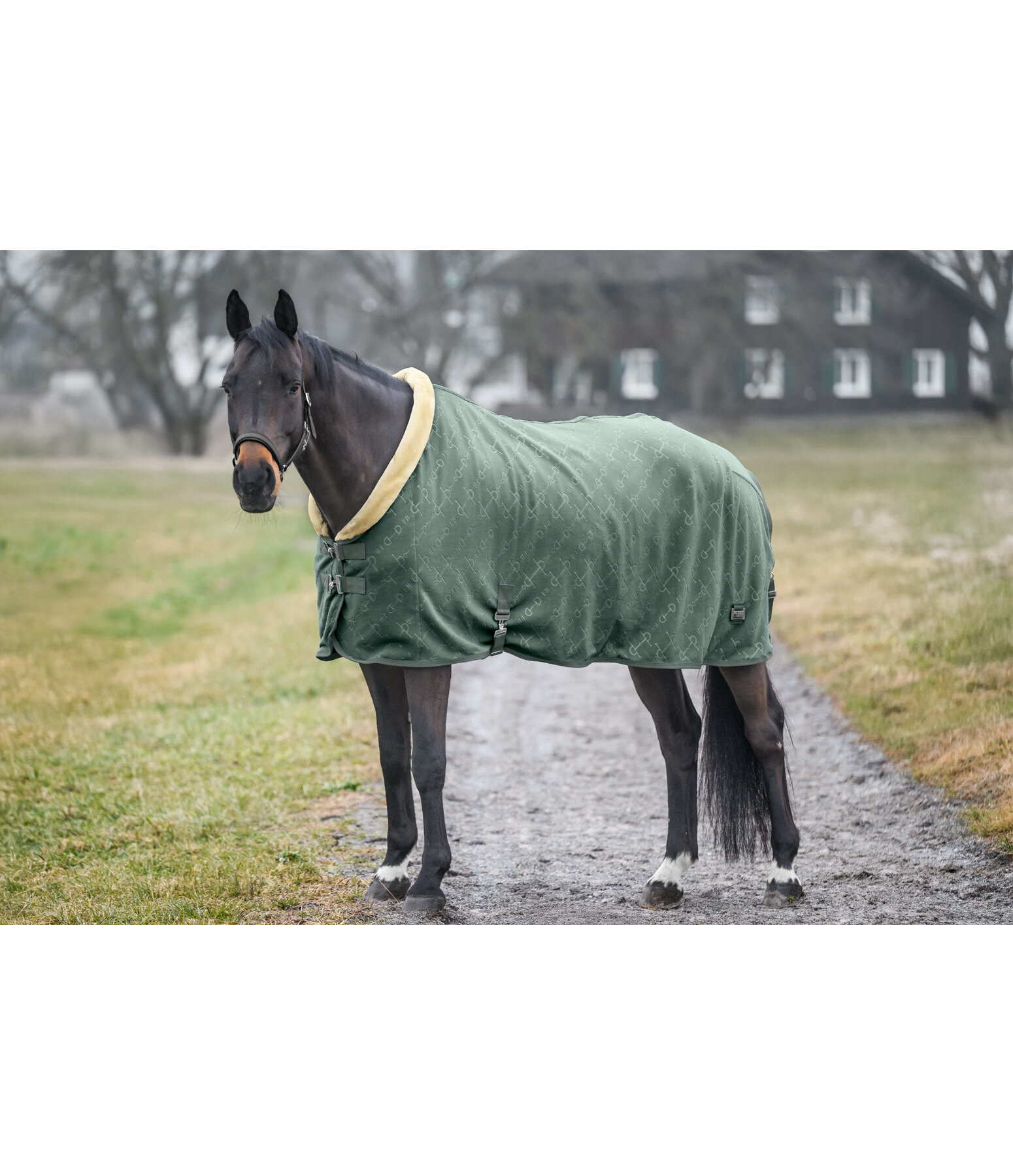 Couverture s�chante  Signature II