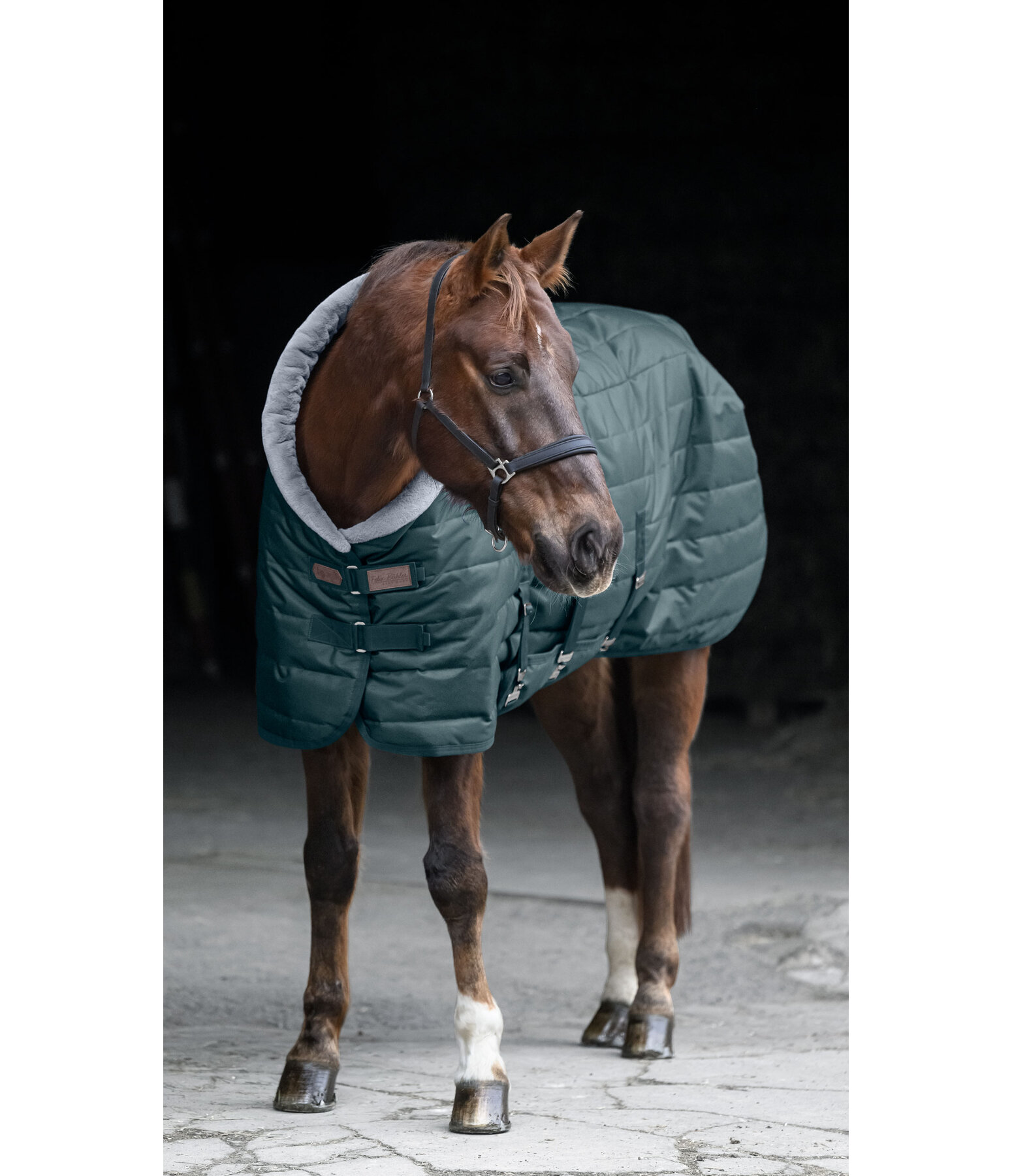 Chemise d'�curie  Stay Cosy