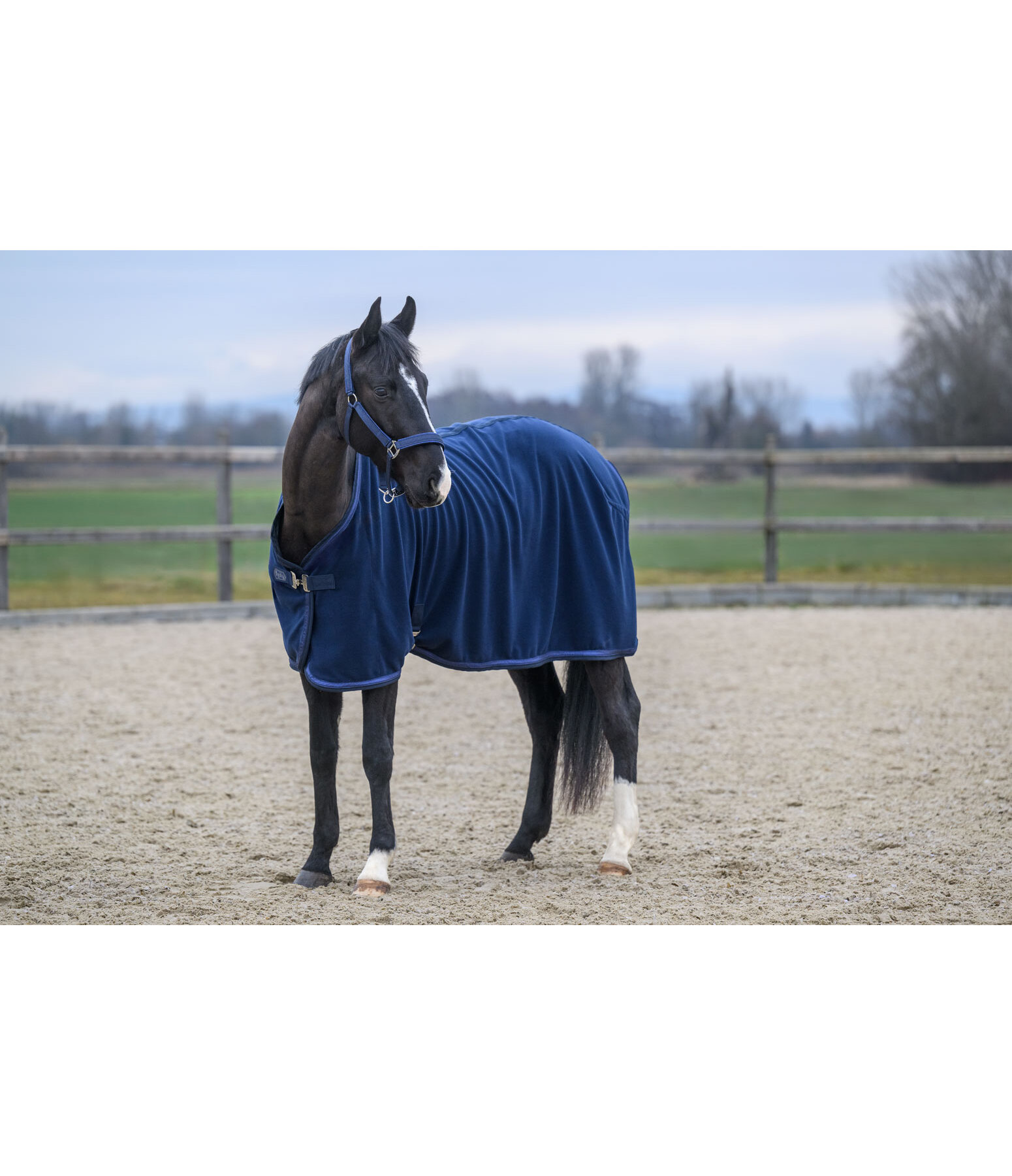 Chemise s�chante  Glitter