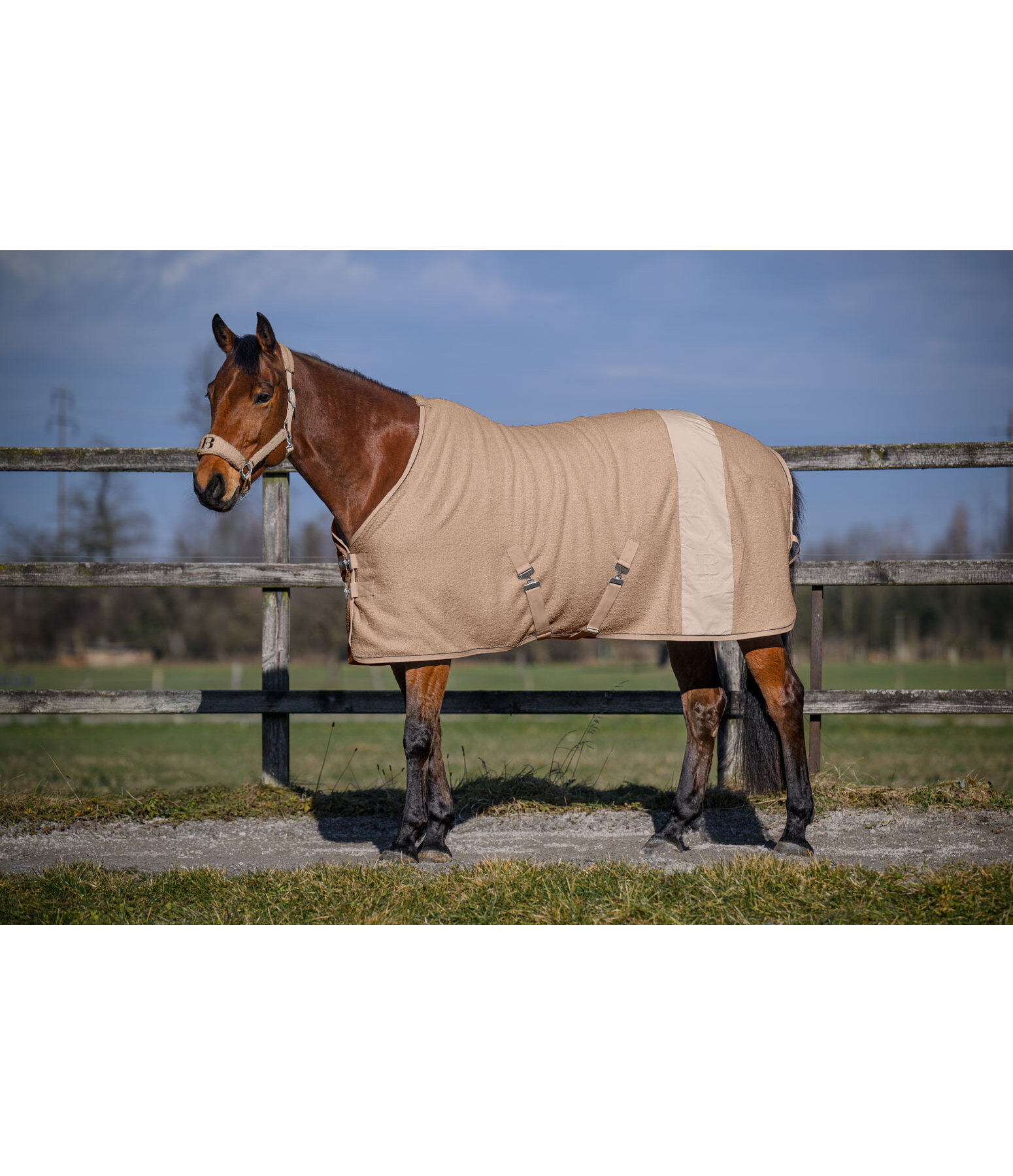 Couverture polaire  Teddy