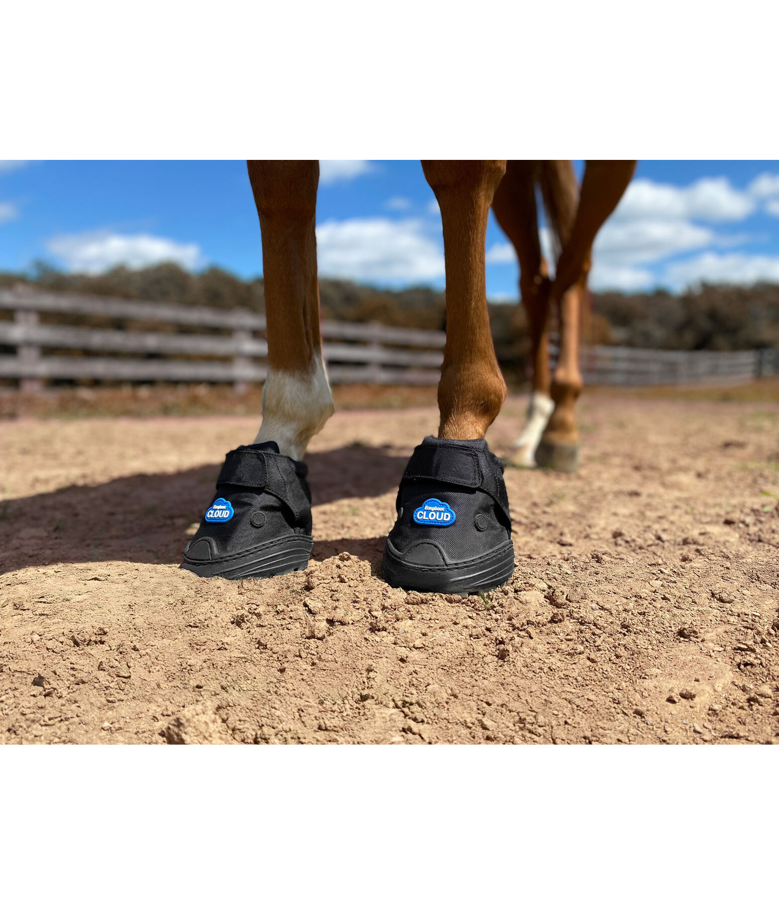 Hipposandale vtrinaire  Easyboot Cloud