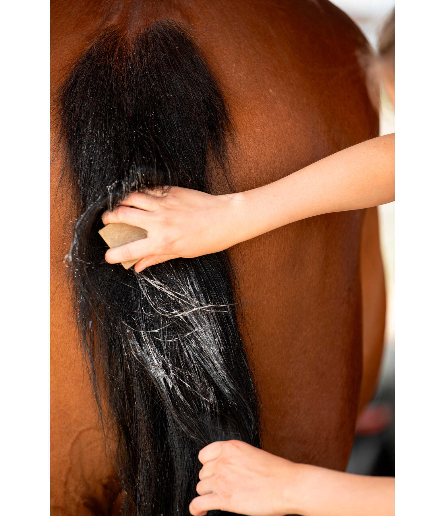 Savon de soin pour chevaux  Naturkraft