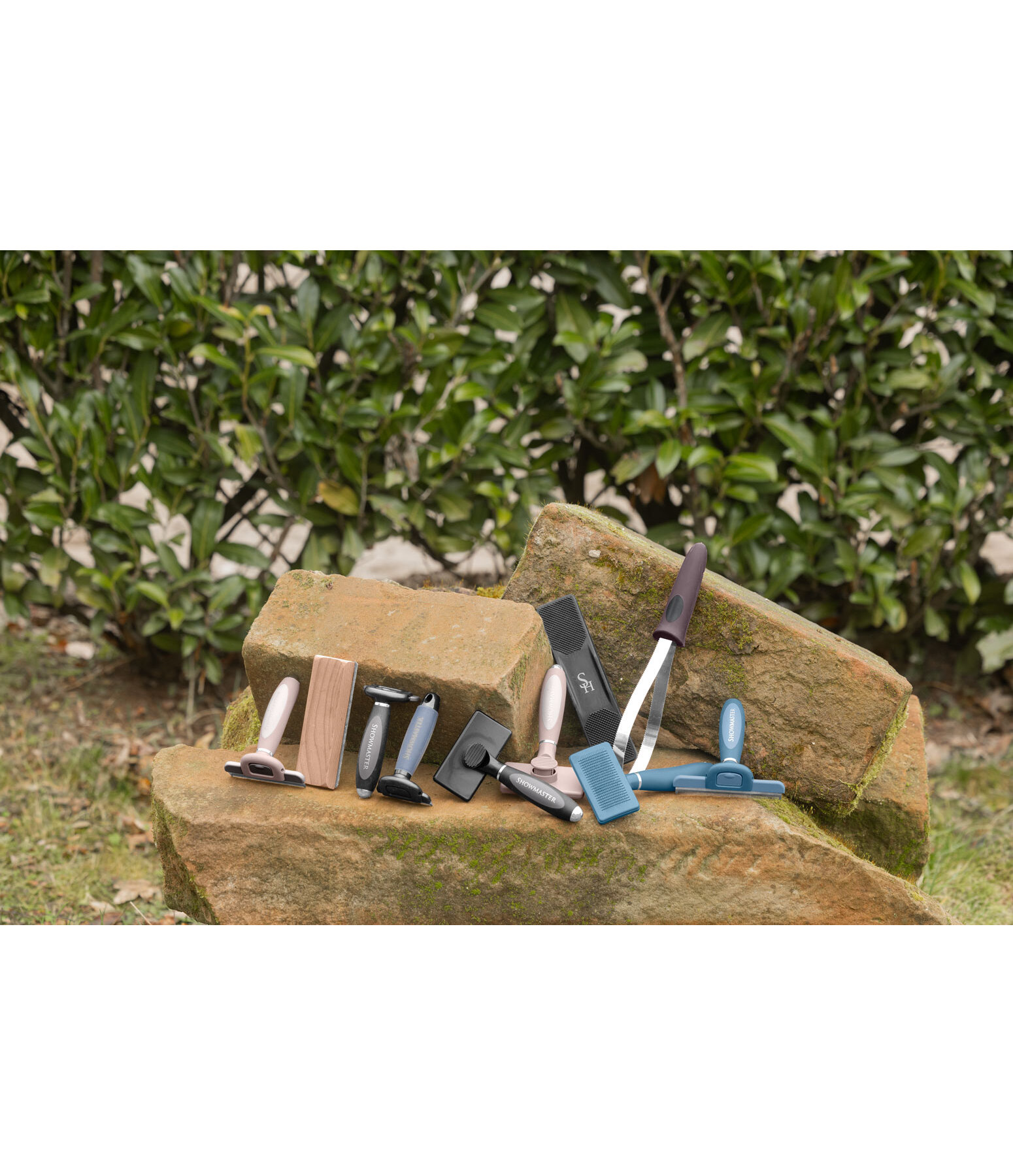 Brosse � carder  Premium