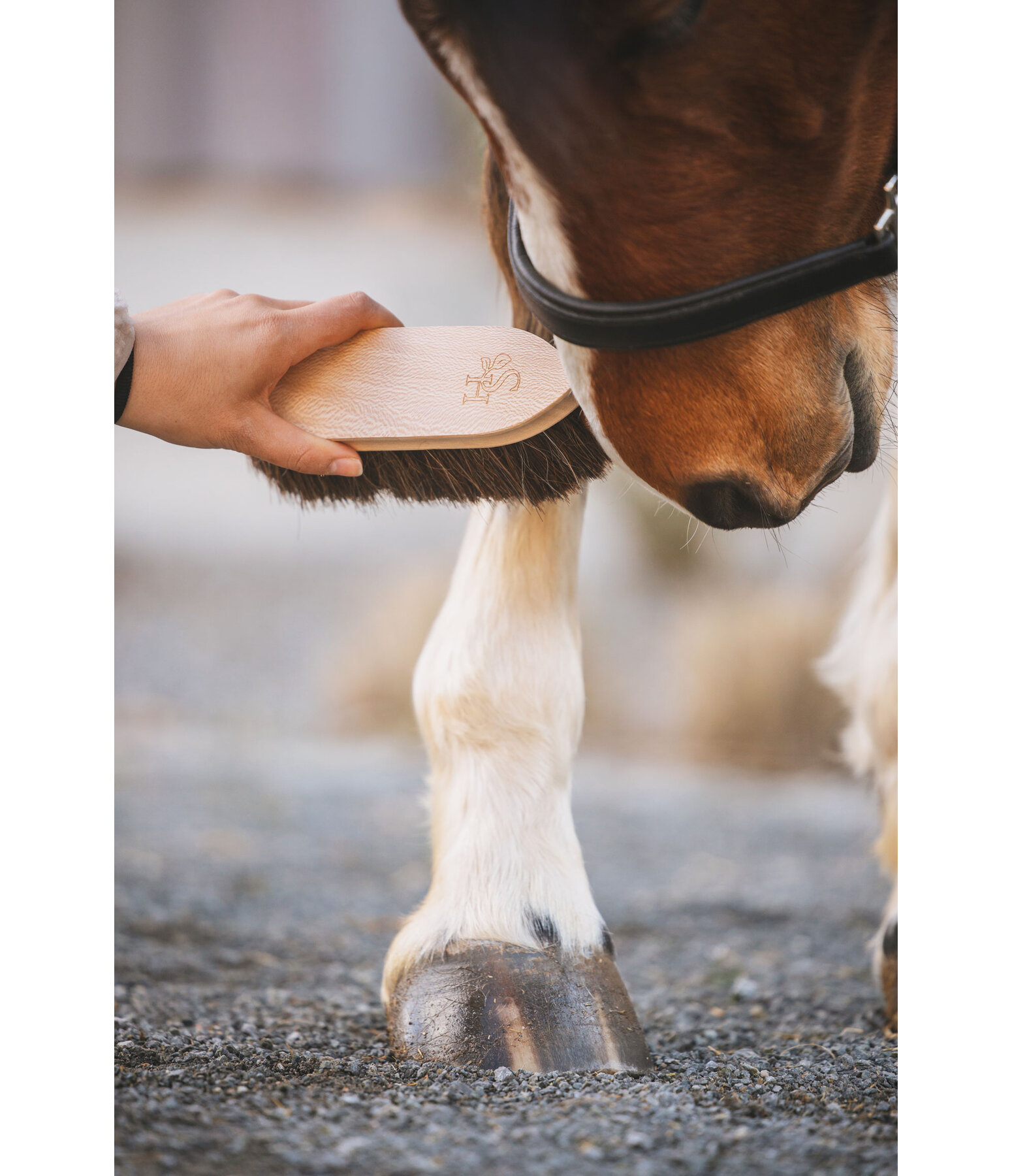 Brosse anti-poussire  Flora