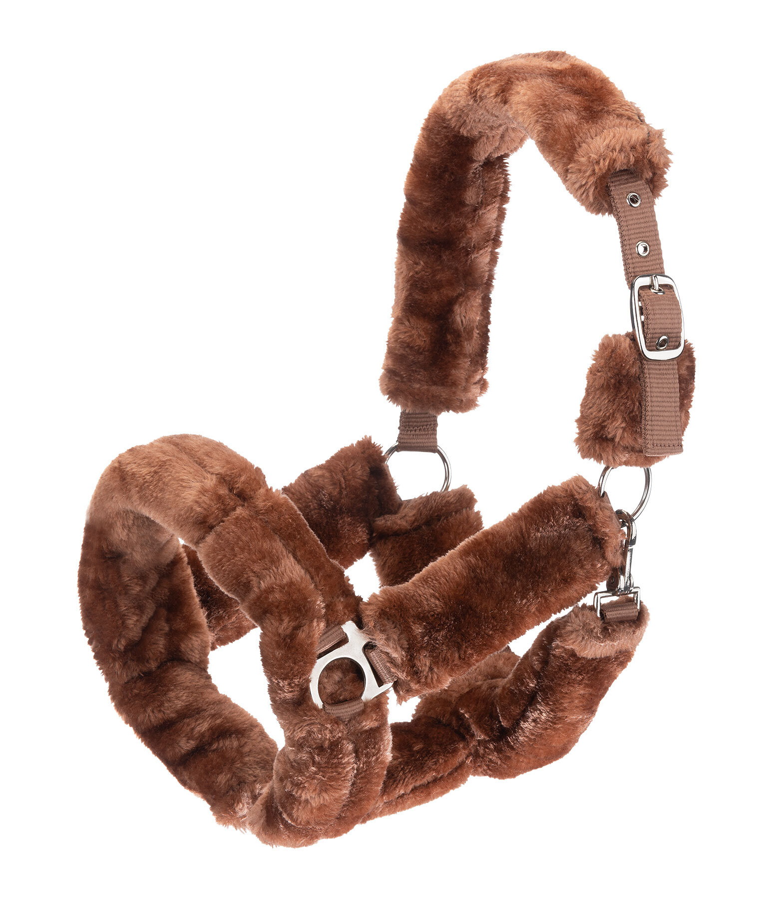 Licol en polaire Teddy  Protection