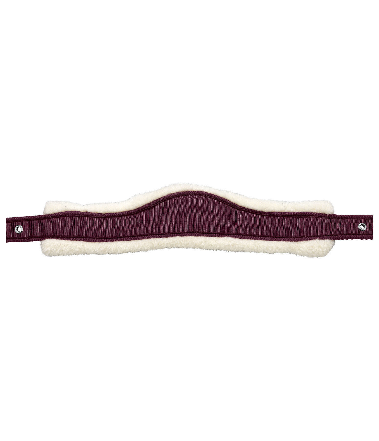 Licol en polaire Teddy  Anatomical Relaxation