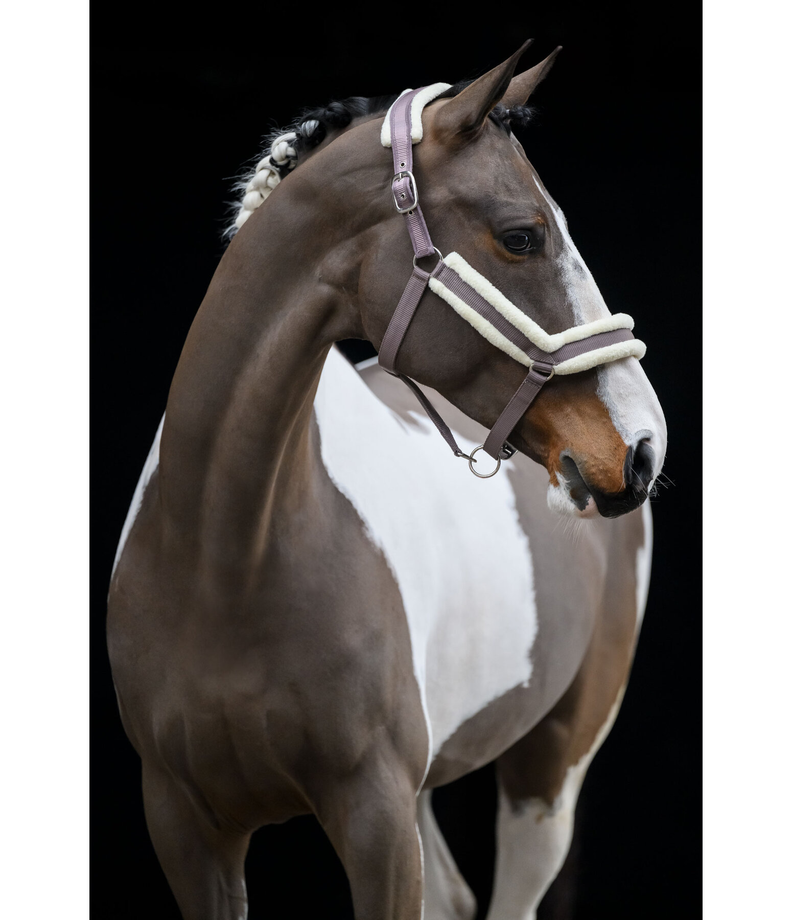 Licol en polaire Teddy  Anatomical Relaxation