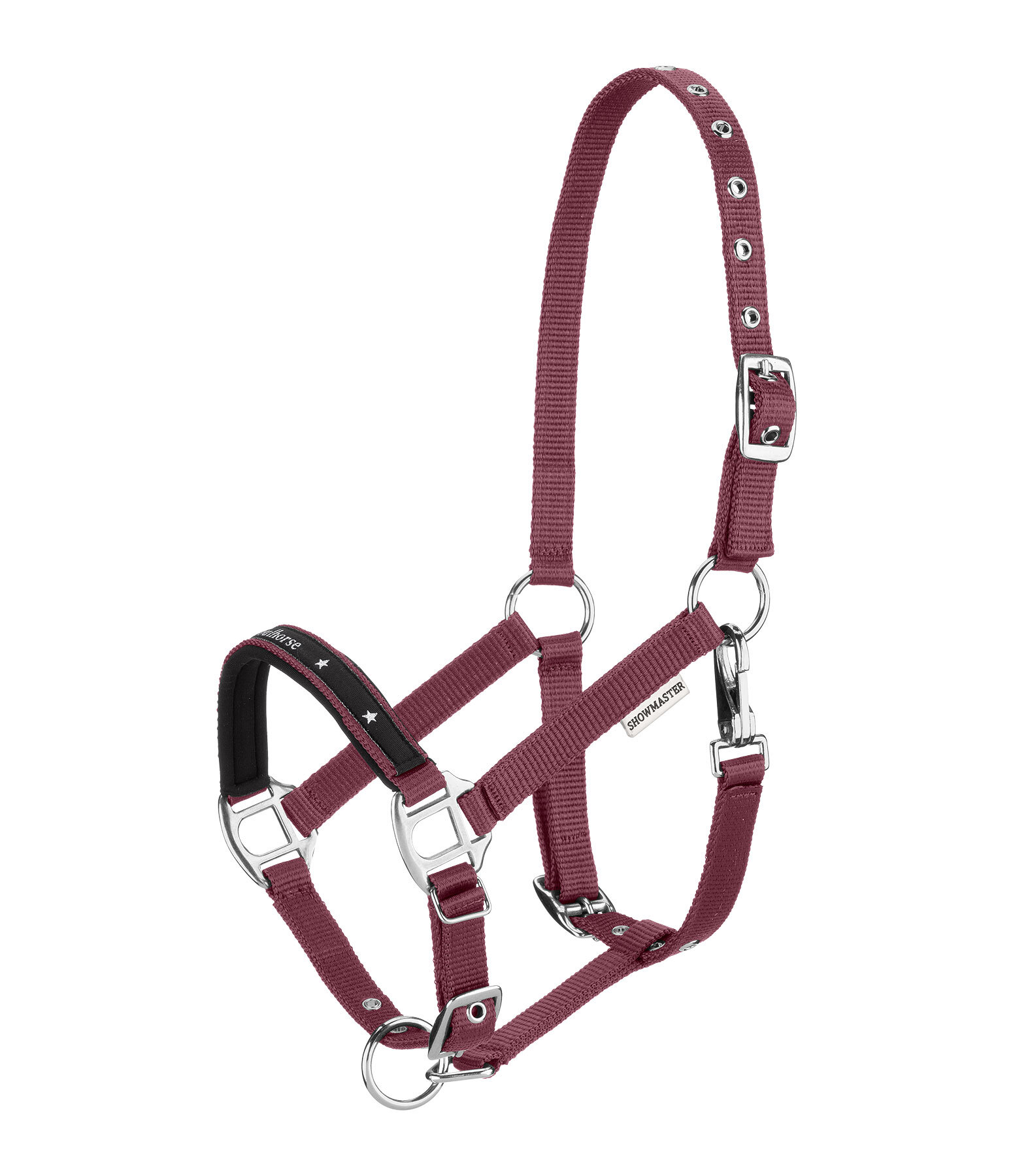 Licol poulain et shetland  Future Star