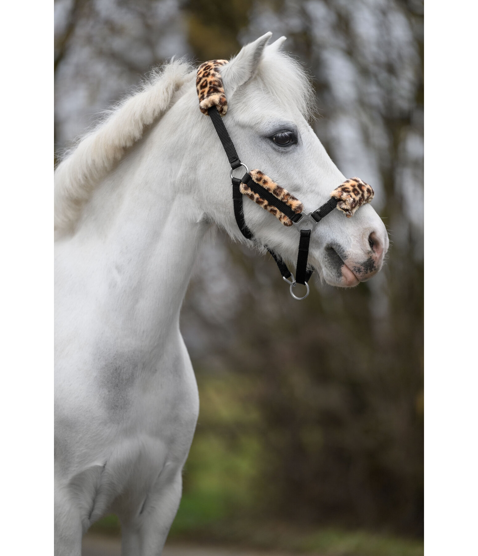 Licol poulain et shetland en polaire Teddy  Cozy Adjustable