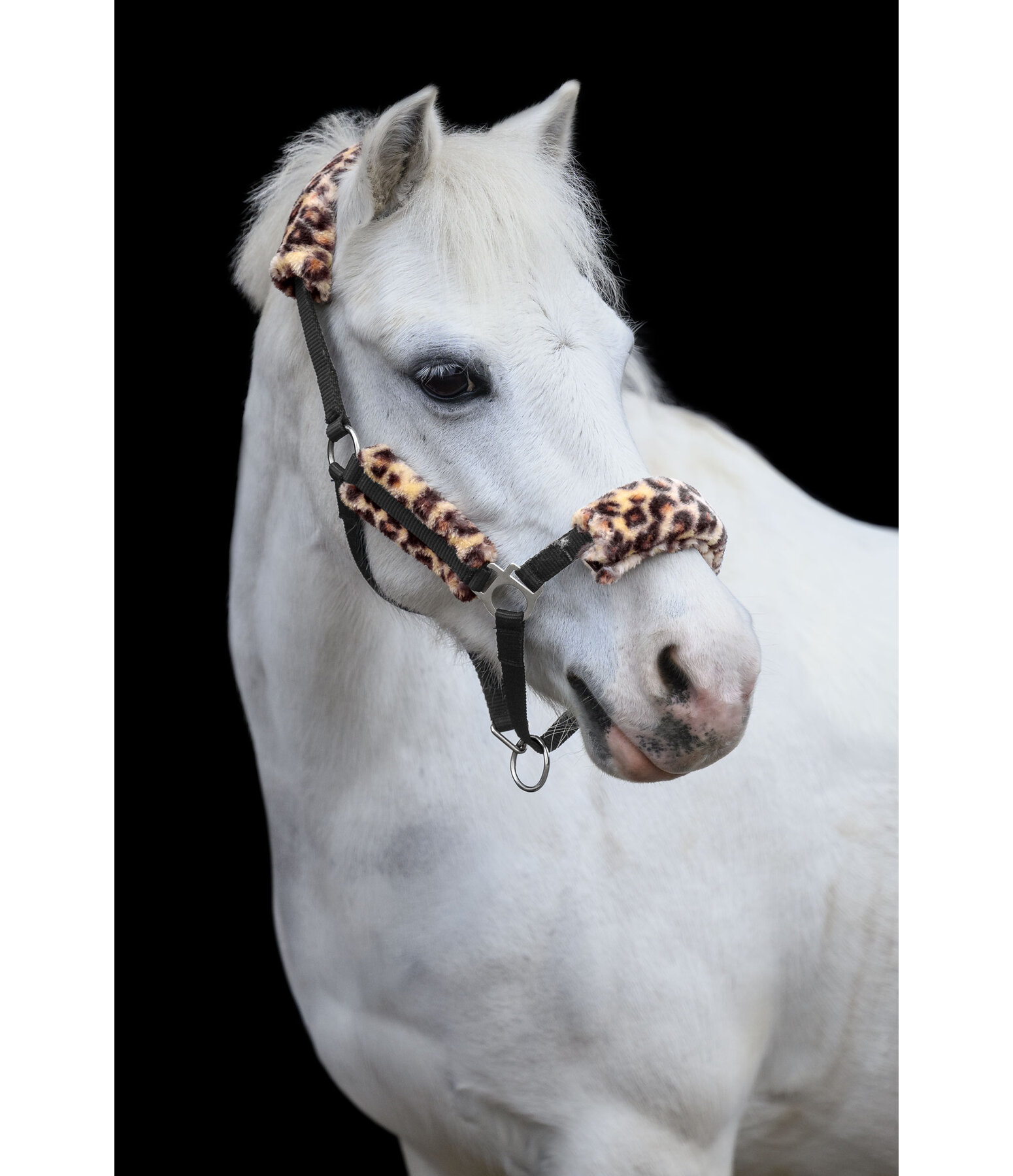 Licol poulain et shetland en polaire Teddy  Cozy Adjustable
