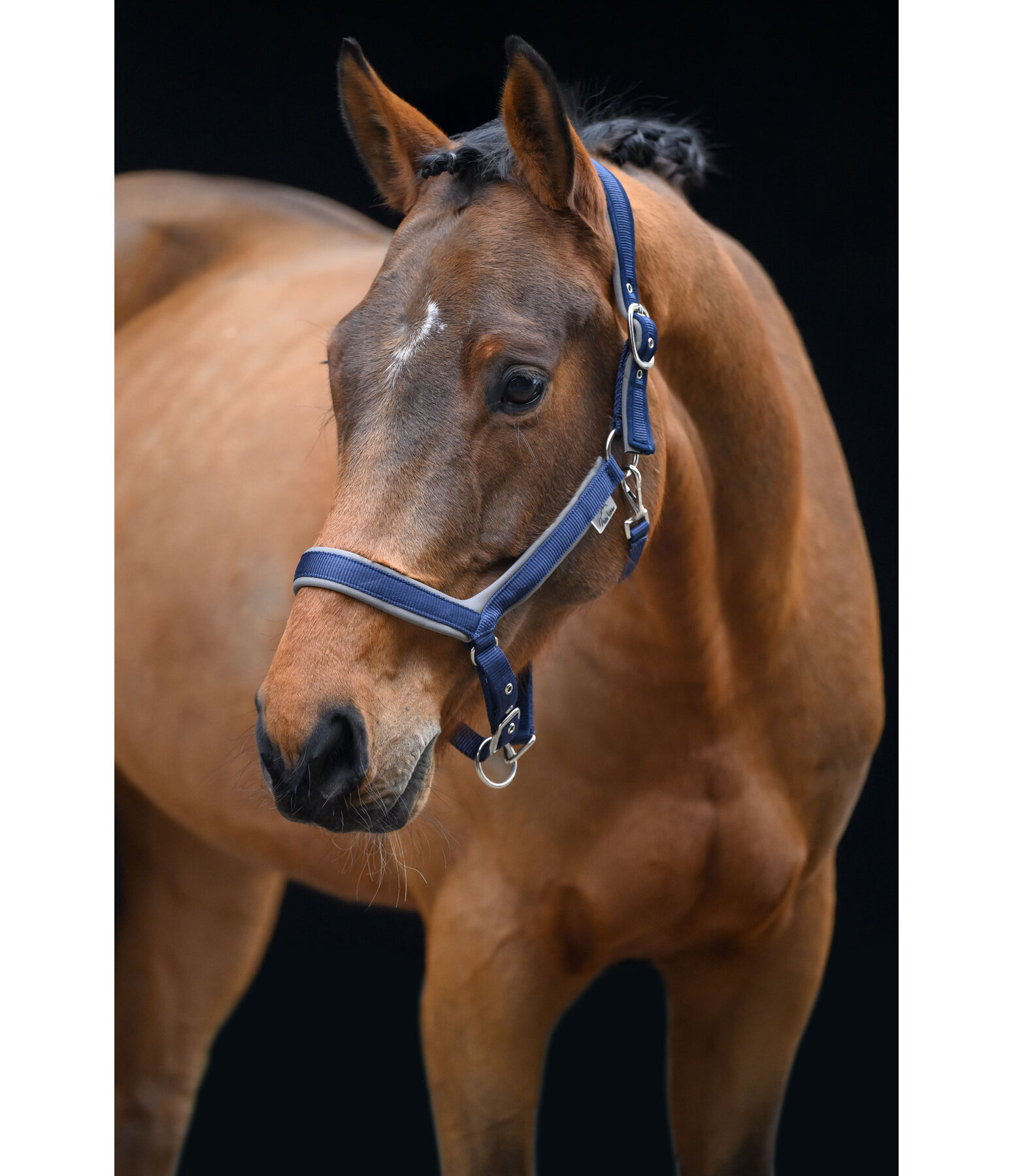 Licol anatomique  Relaxation