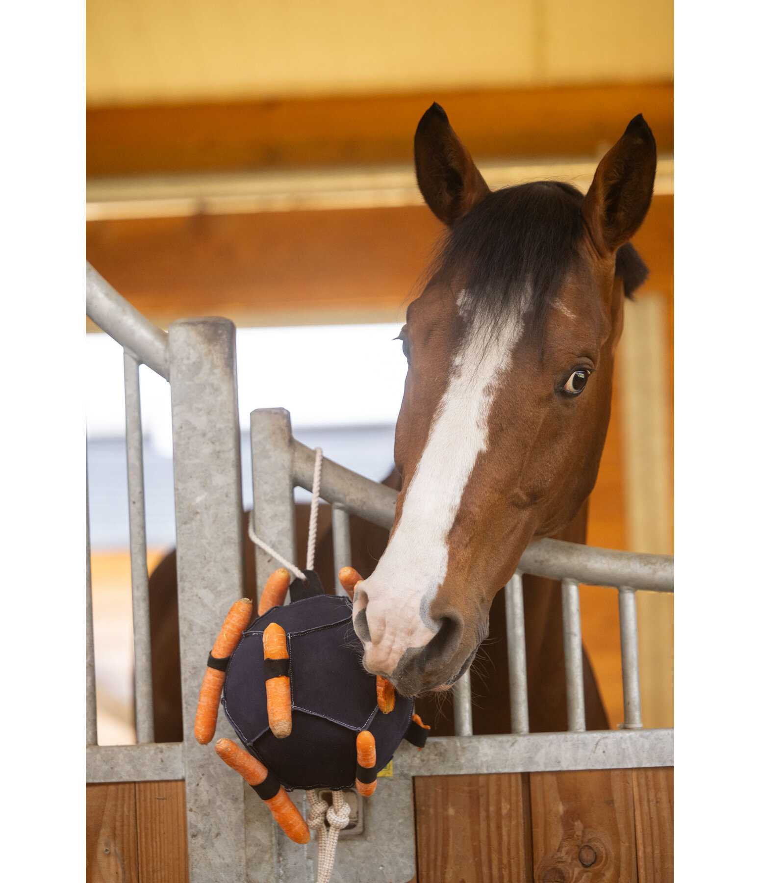 Jouet pour cheval  Snack