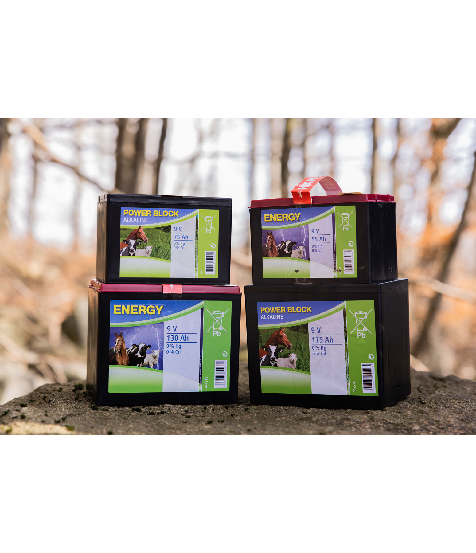 Batterie alcaline 9 V 175 Ah