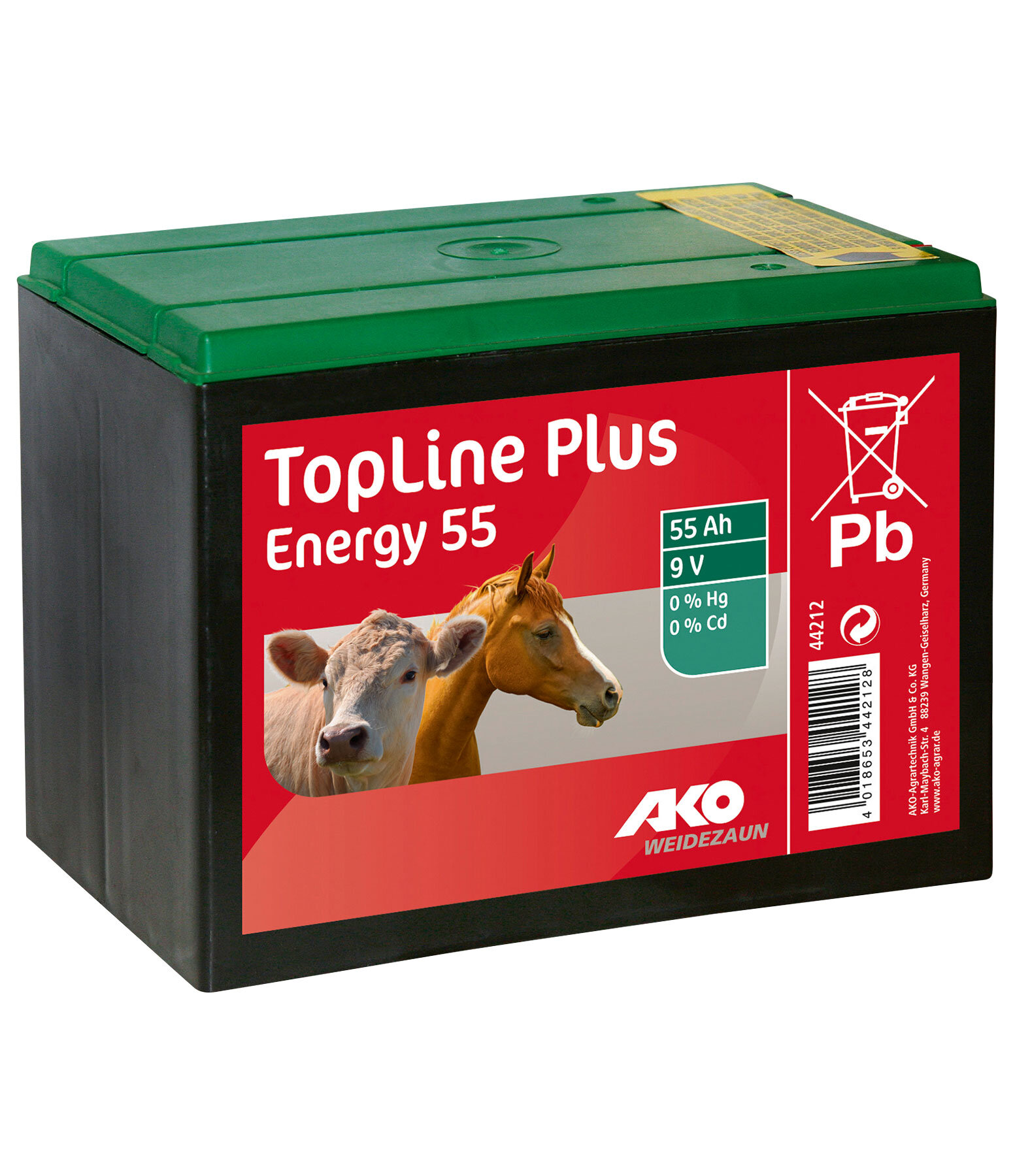 Pile TopLine Plus energy 9 V 55 Ah