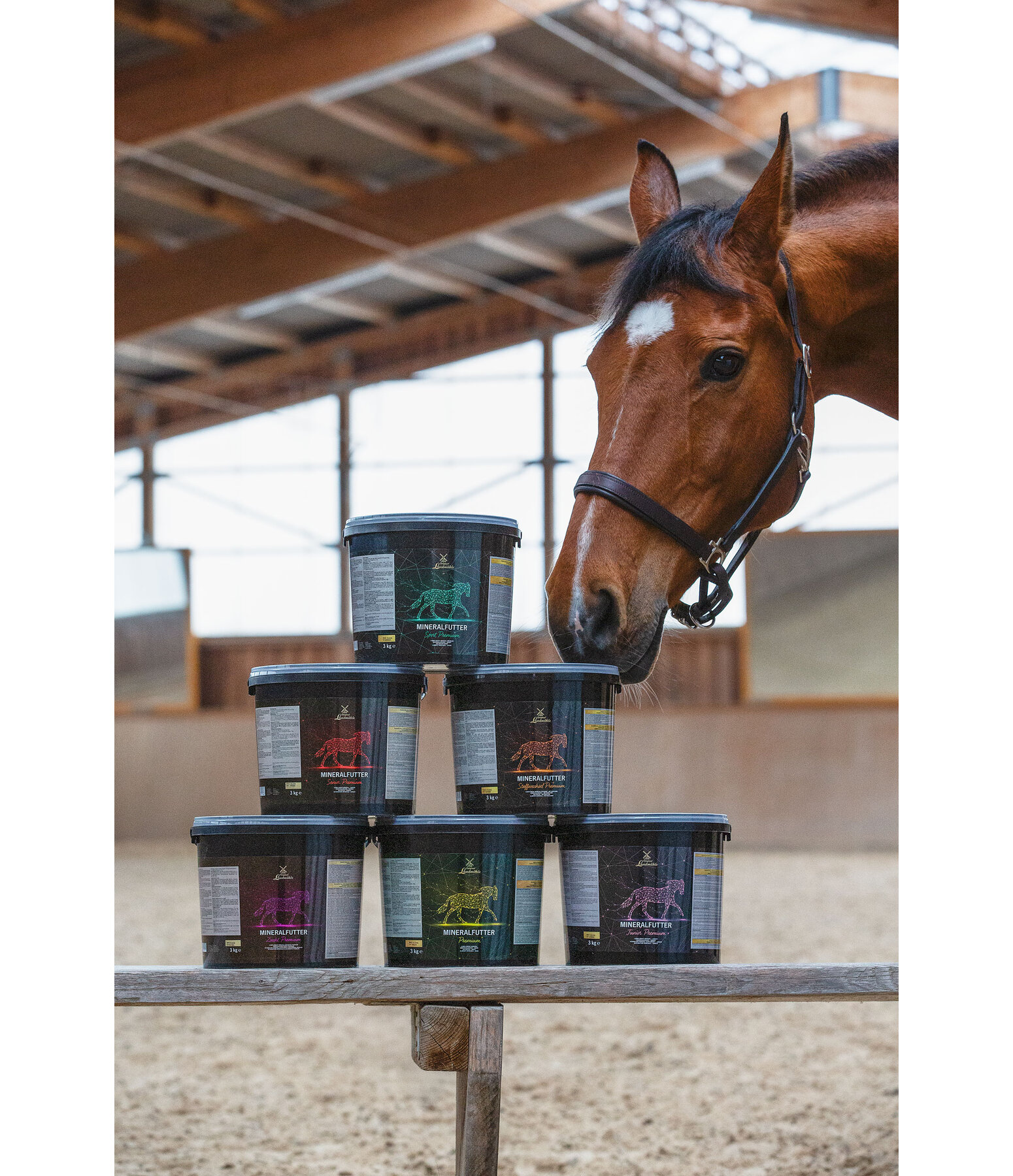 Complment minral premium  Gestation