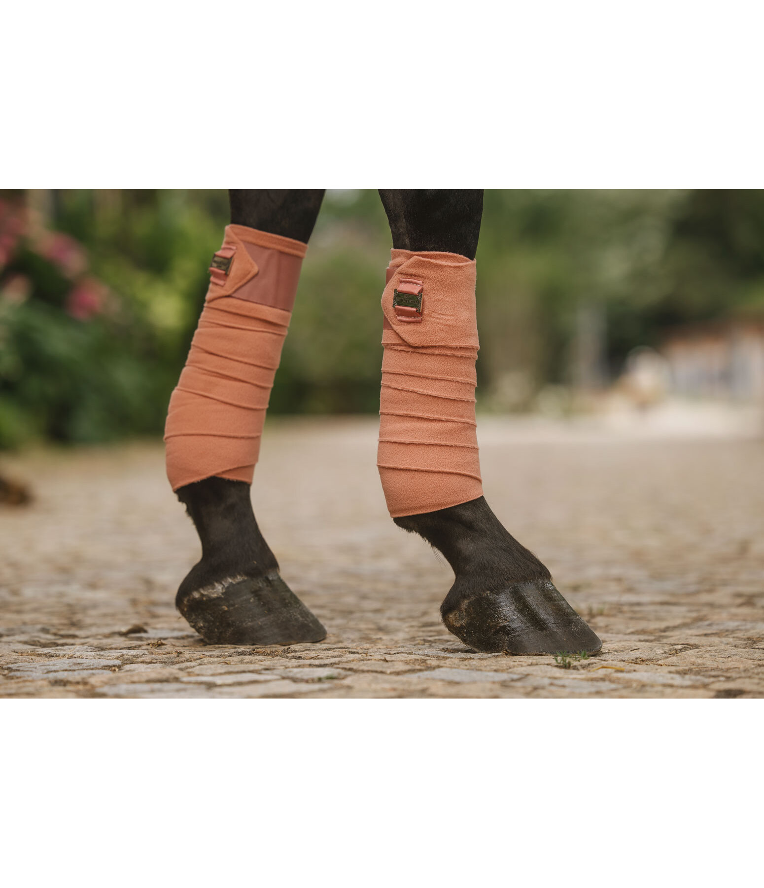 Bandes en polaire  Essential