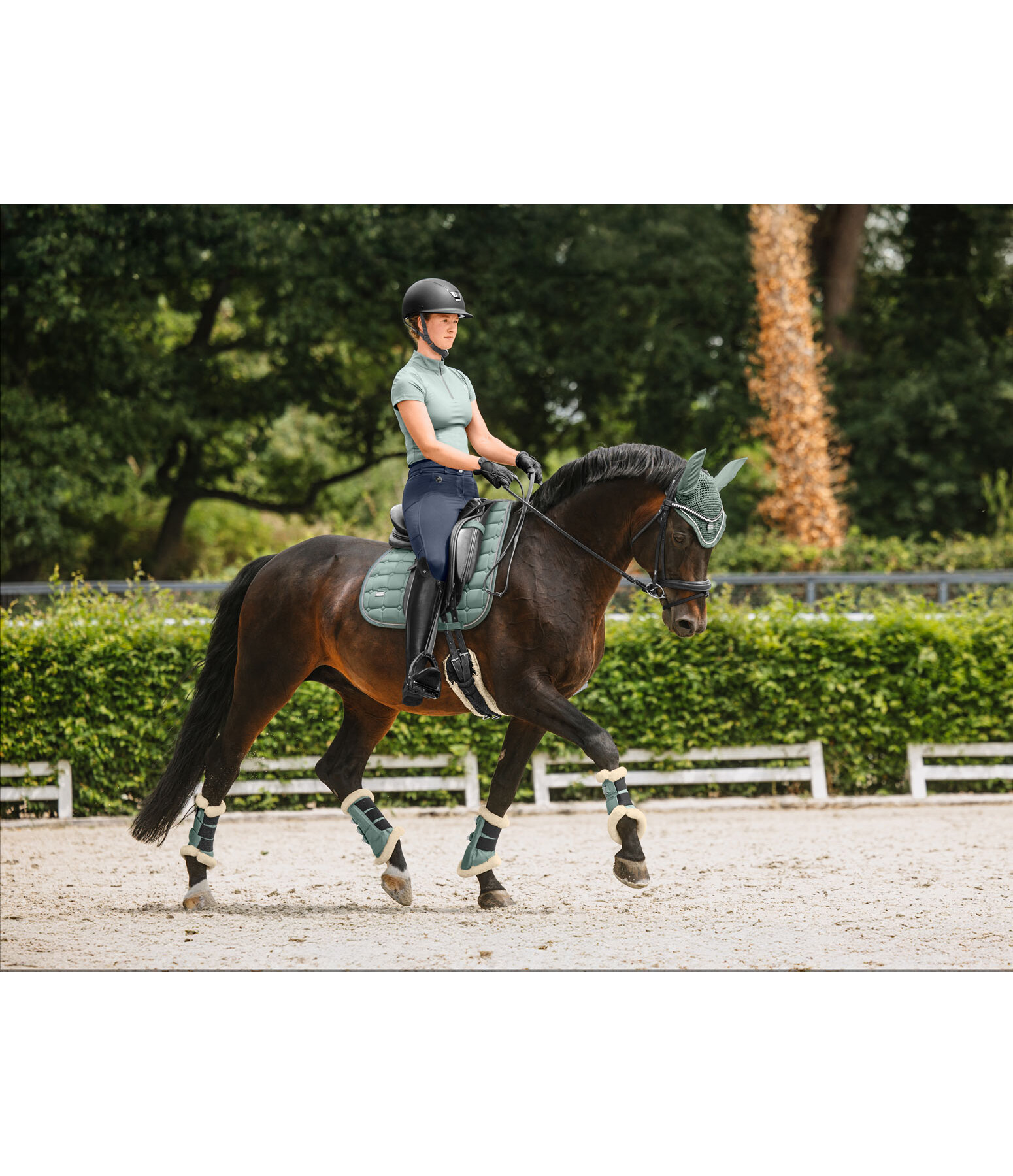 Gu�tres de dressage en polaire Teddy  Essential (ant�rieurs)