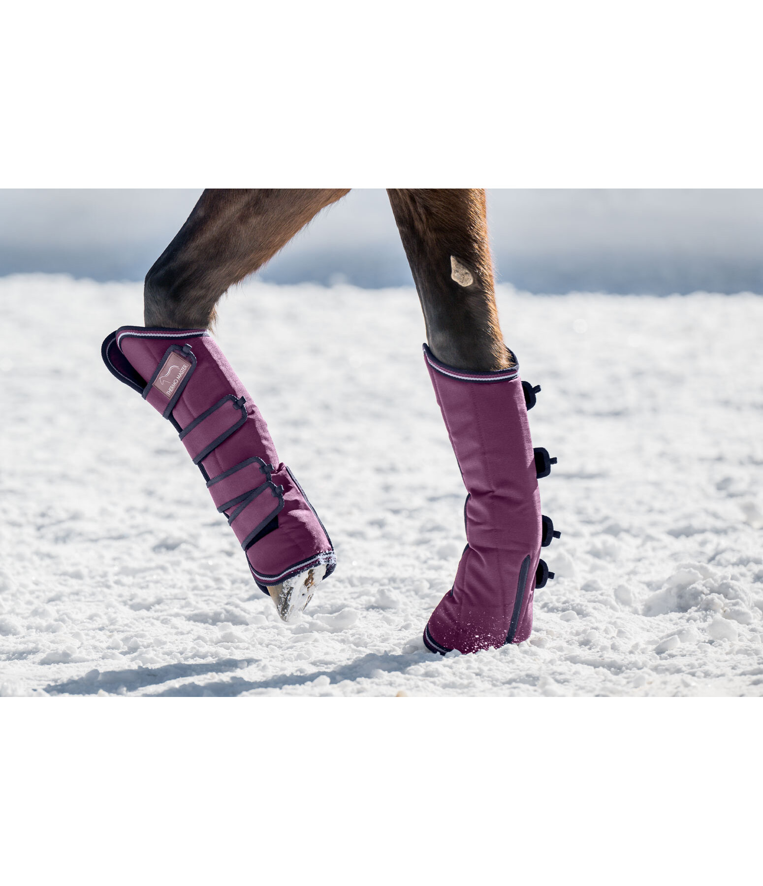 Gutres de transport   Kilian