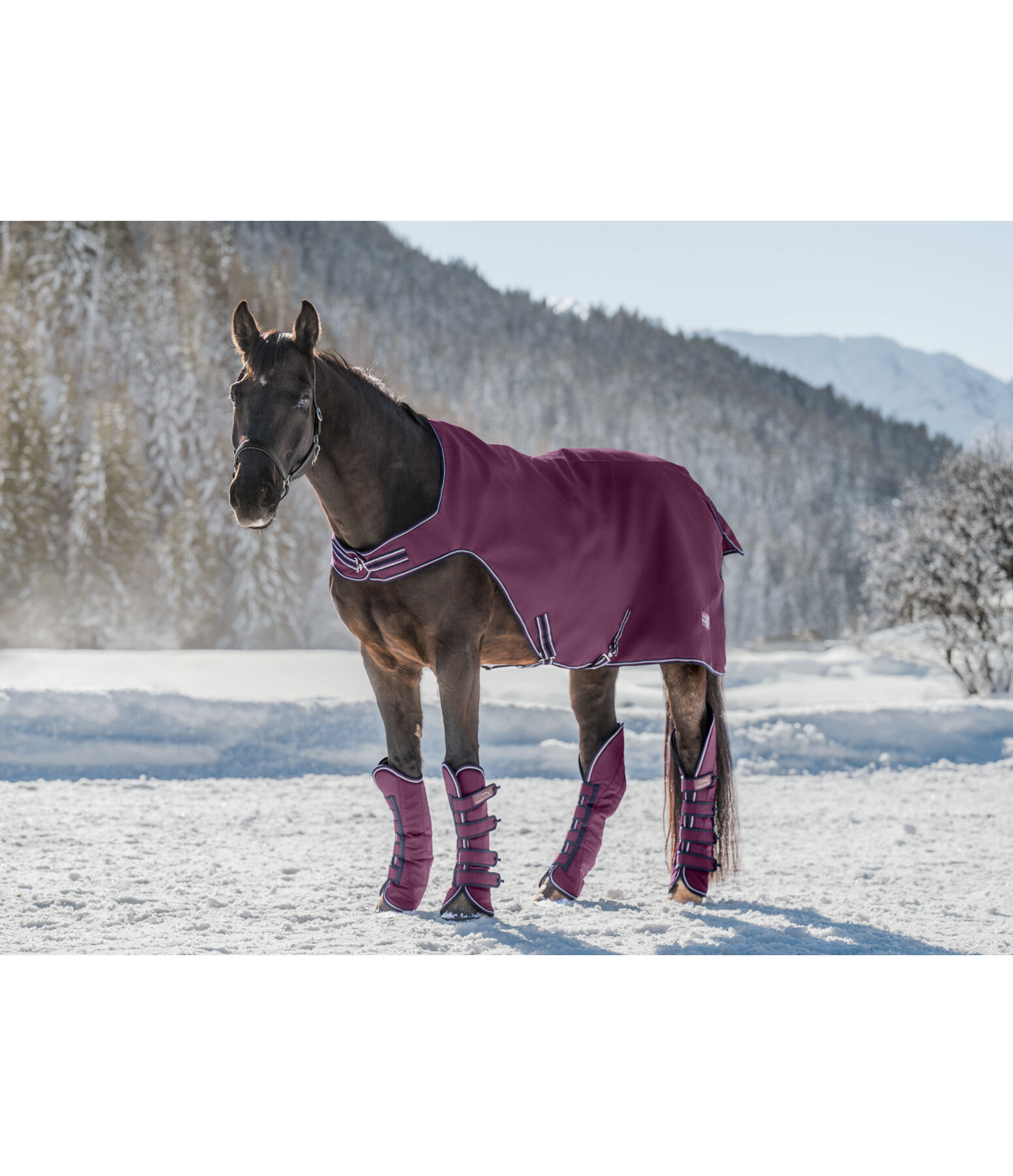 Gutres de transport   Kilian