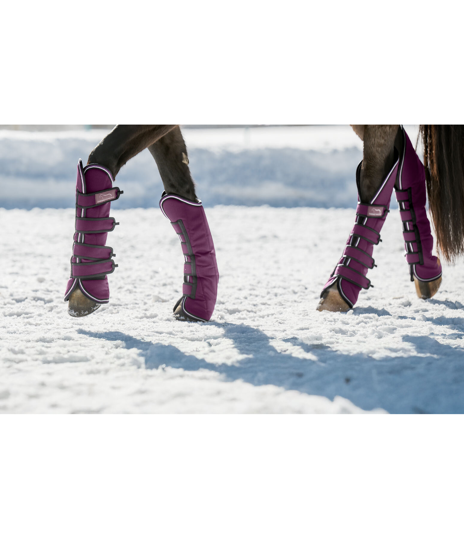 Gutres de transport   Kilian