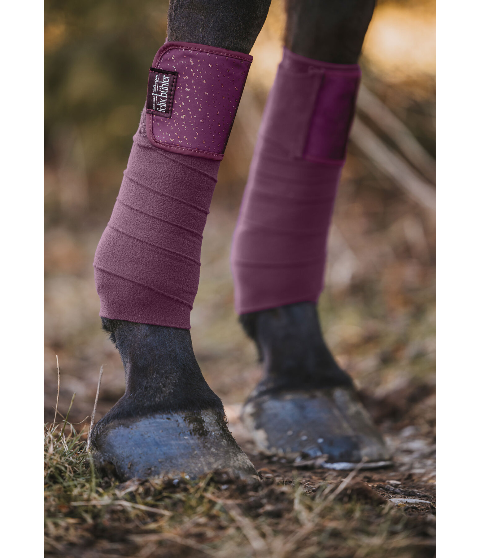 Bandes en polaire  Sparkling II