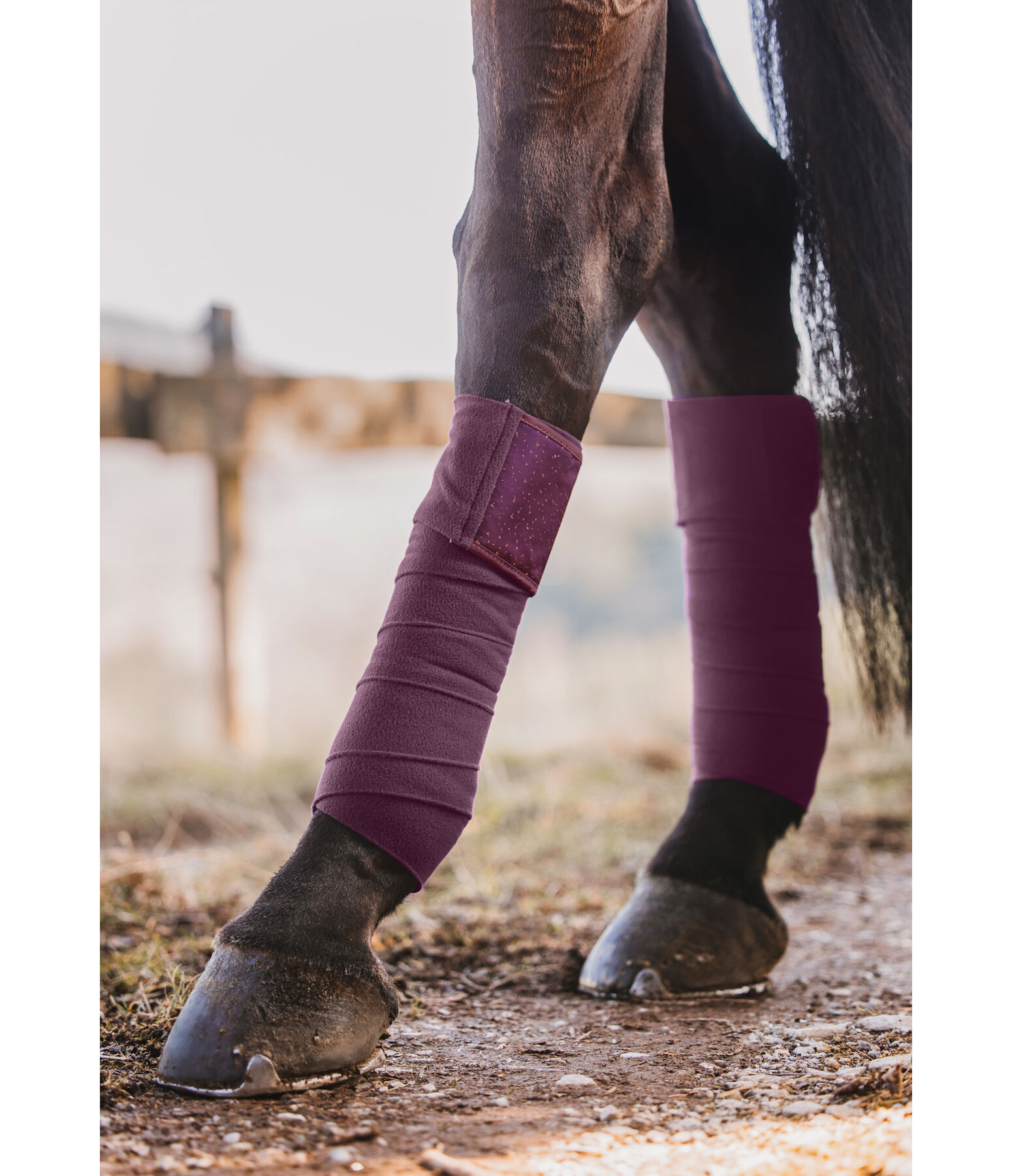 Bandes en polaire  Sparkling II