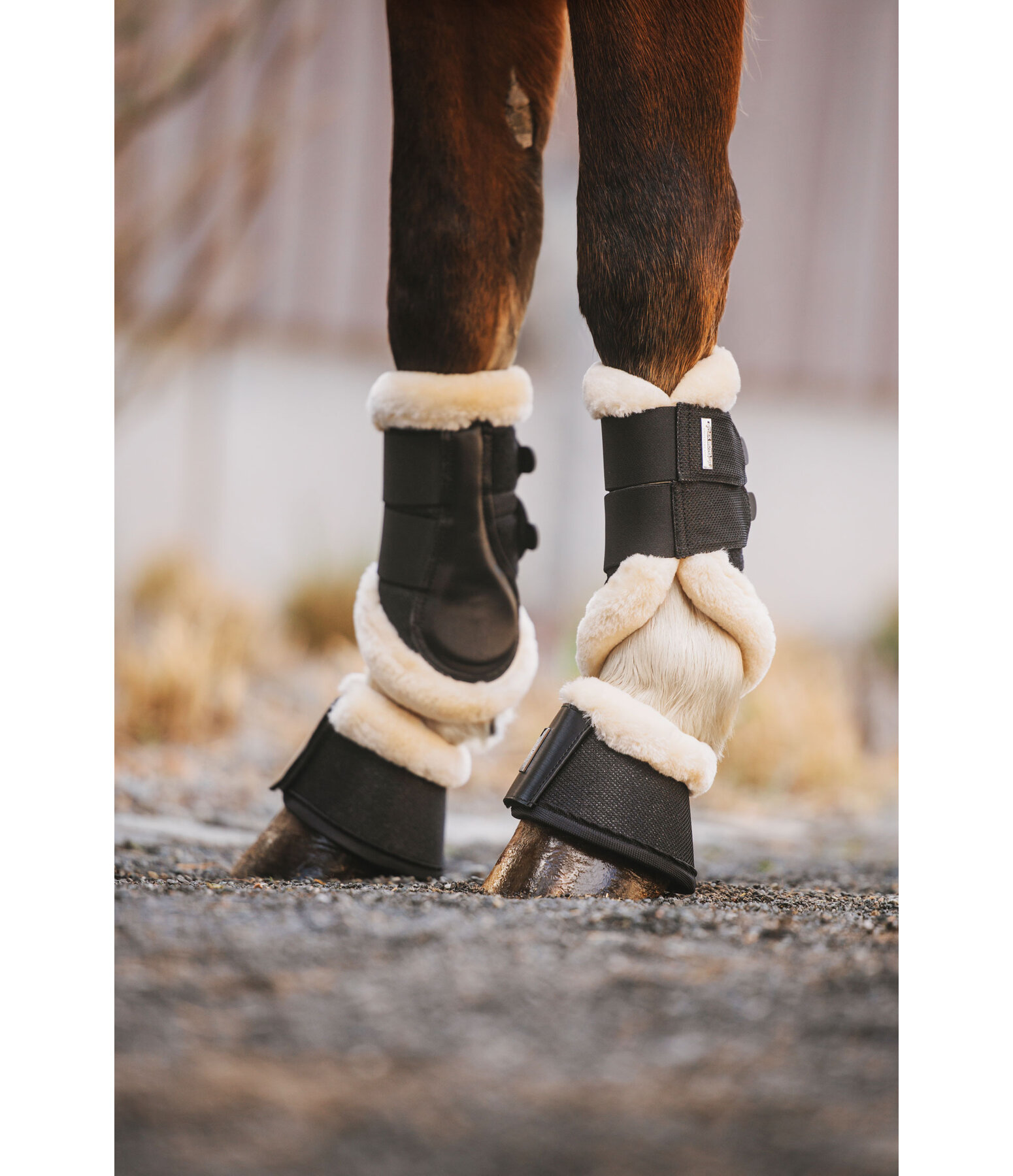 Gutres de dressage avec polaire Teddy  Sparkle (pour antrieurs)