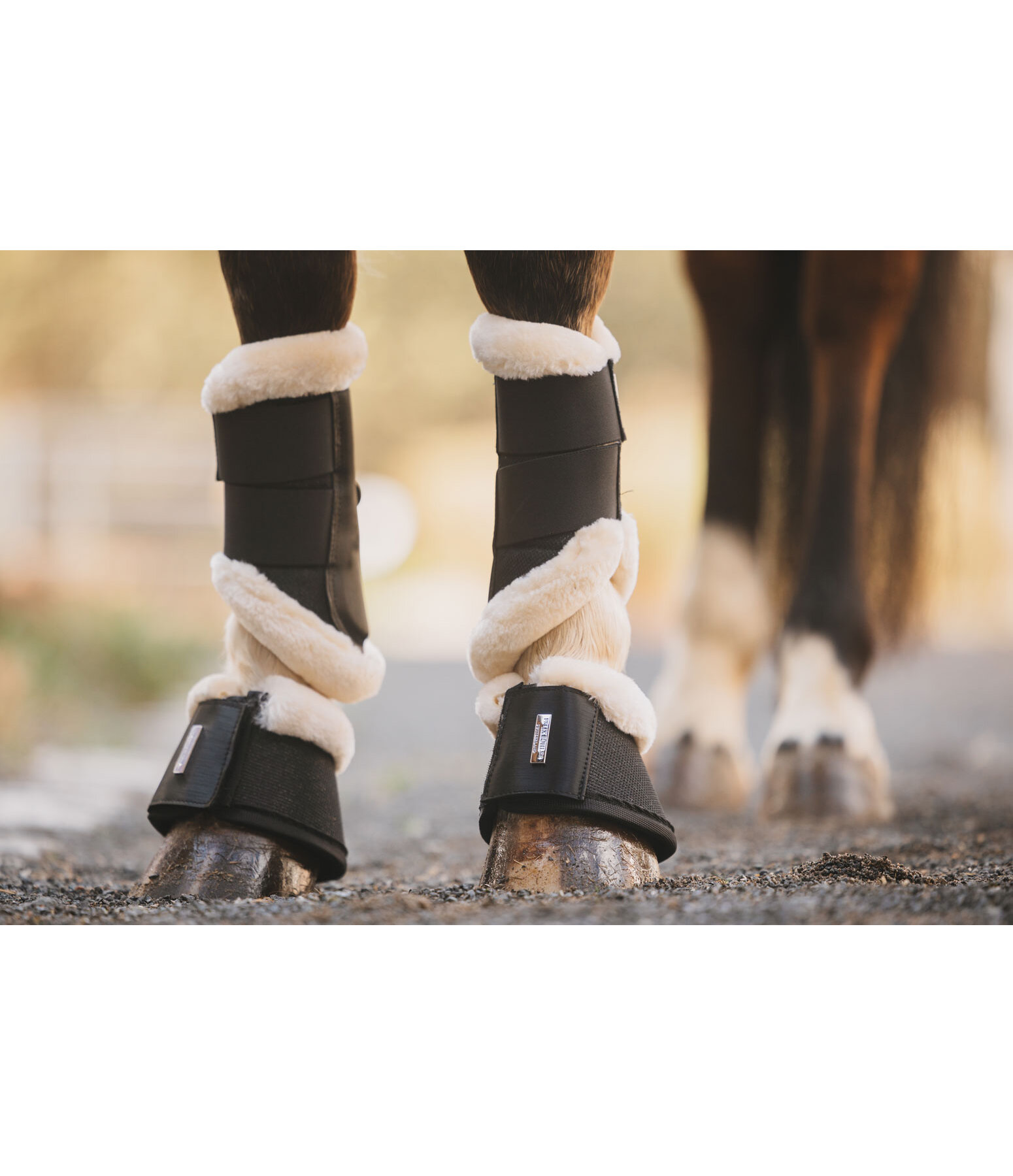 Cloches avec polaire Teddy  Sparkle